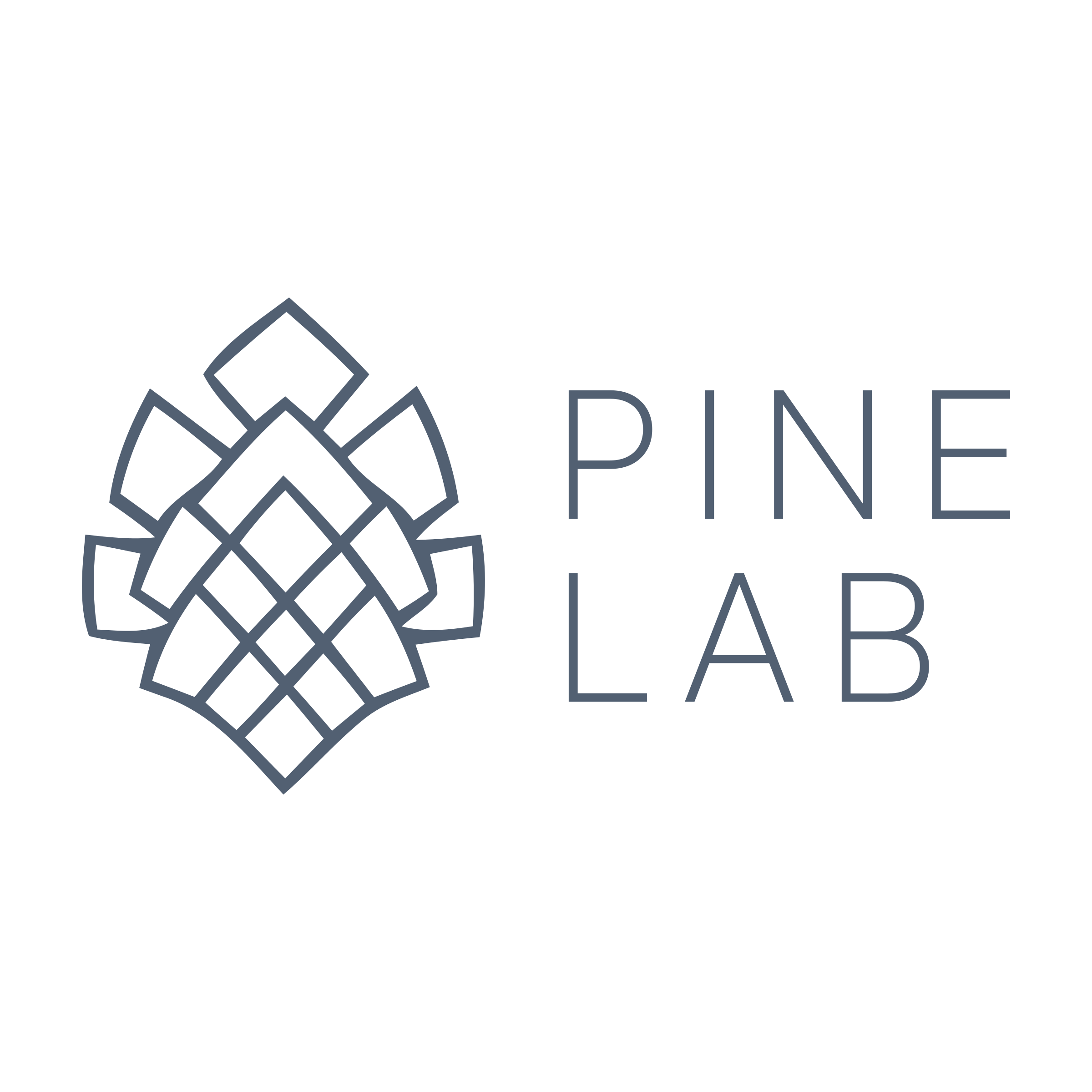 Логотип компании «Pine Lab»