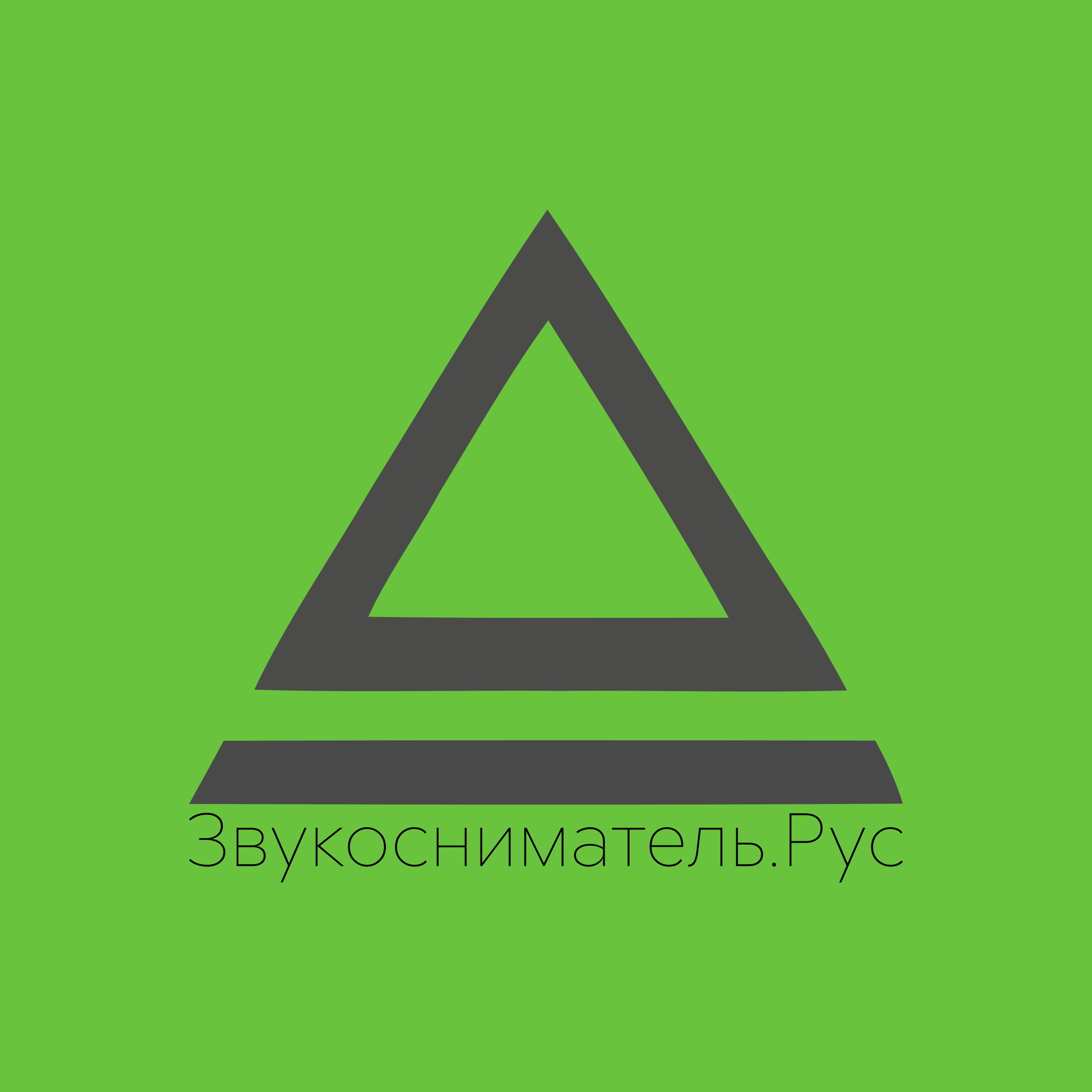 Логотип компании «Звукосниматель.Рус»