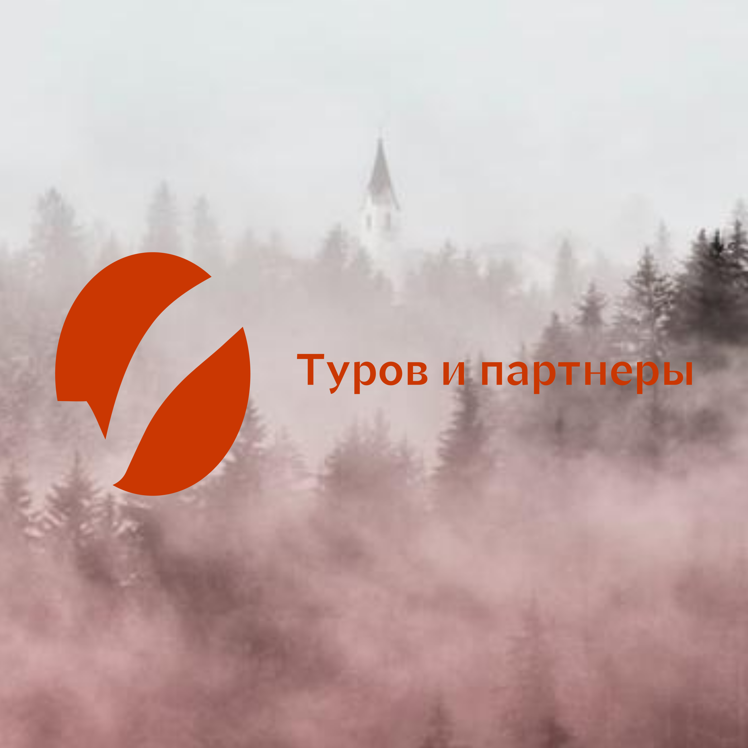 Логотип компании «Туров и партнеры»