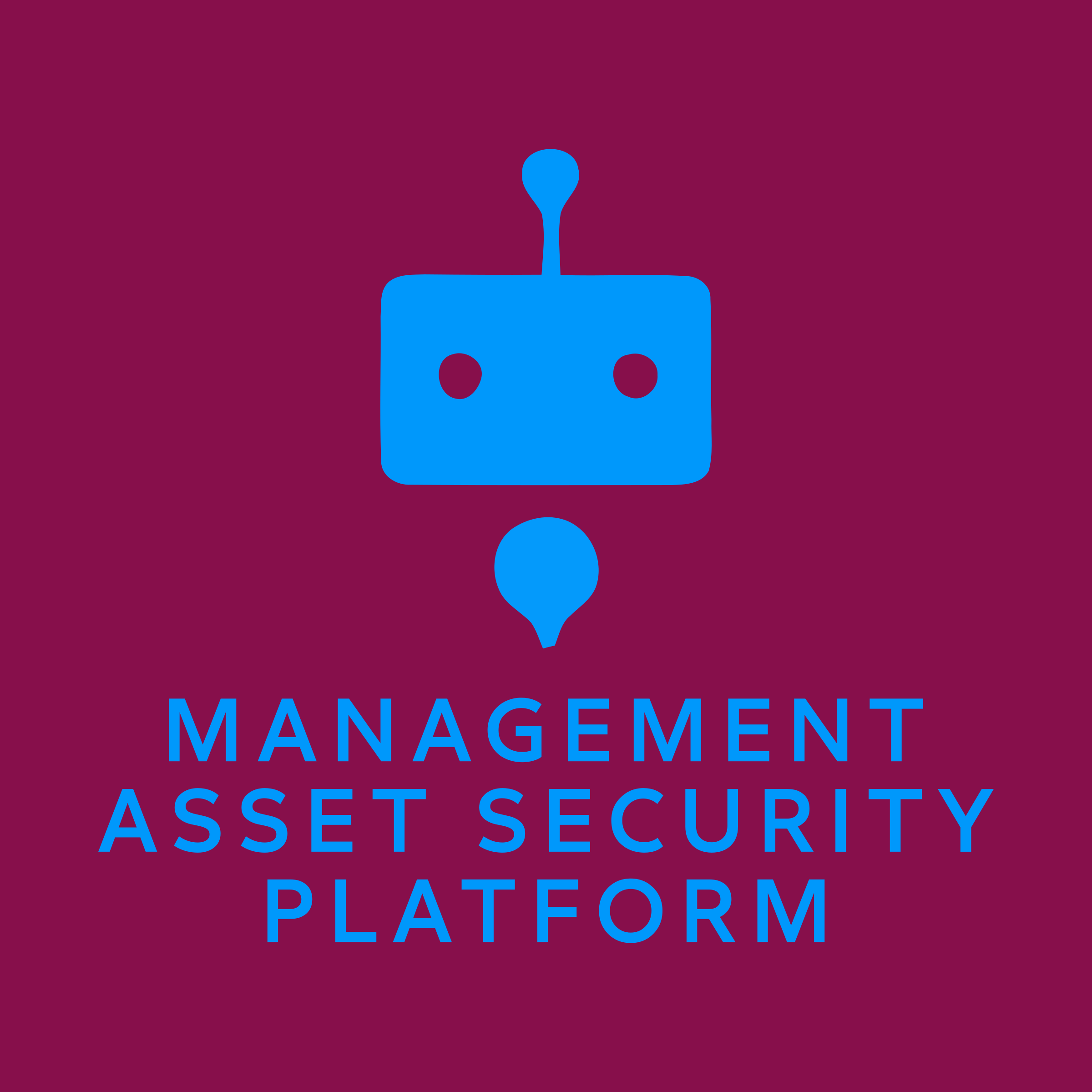 Логотип компании «Management Asset Security Platform»