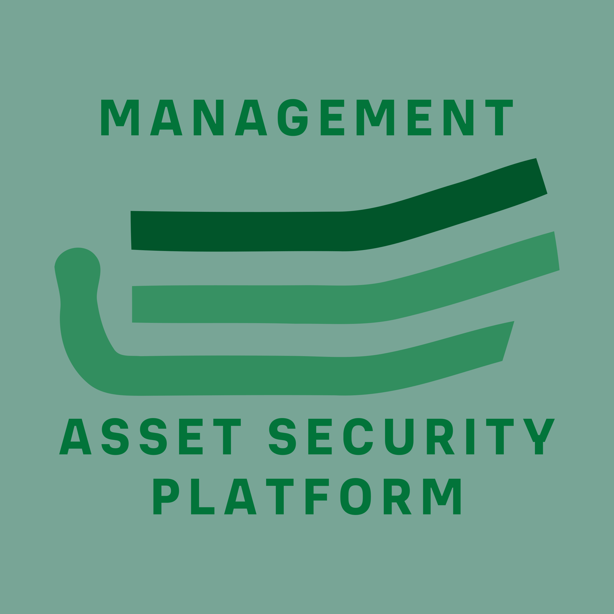 Логотип компании «Management Asset Security Platform»