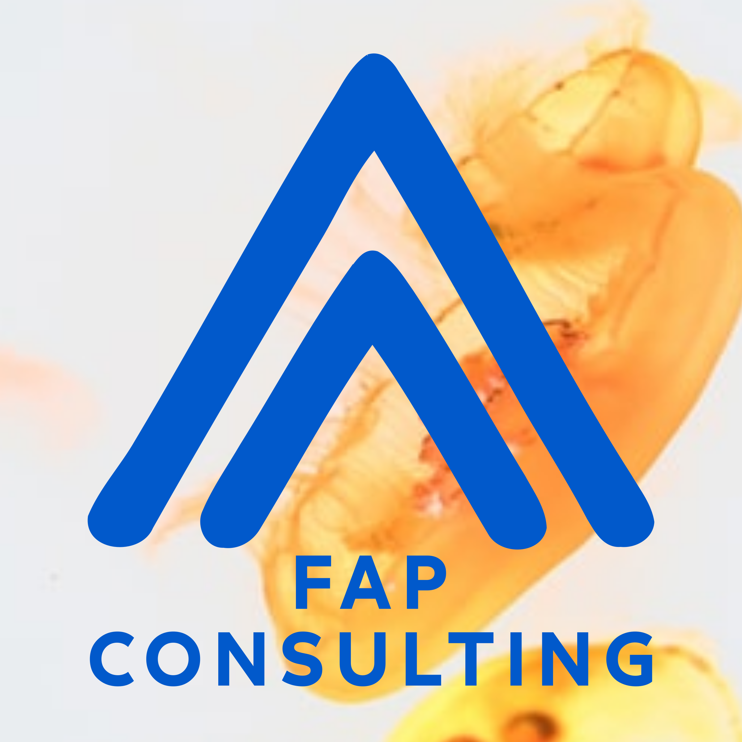 Логотип компании «FAP Consulting»