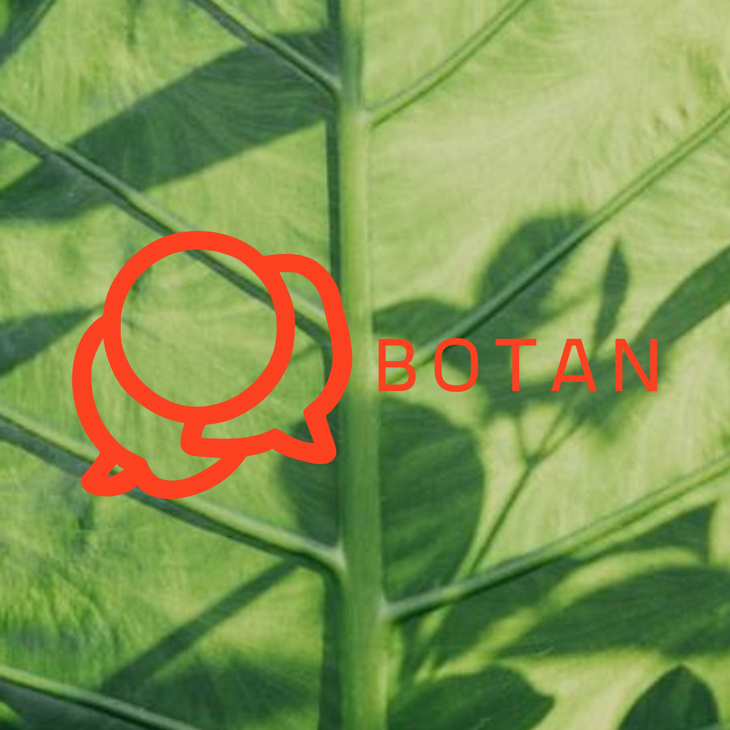 Логотип компании «Botan»