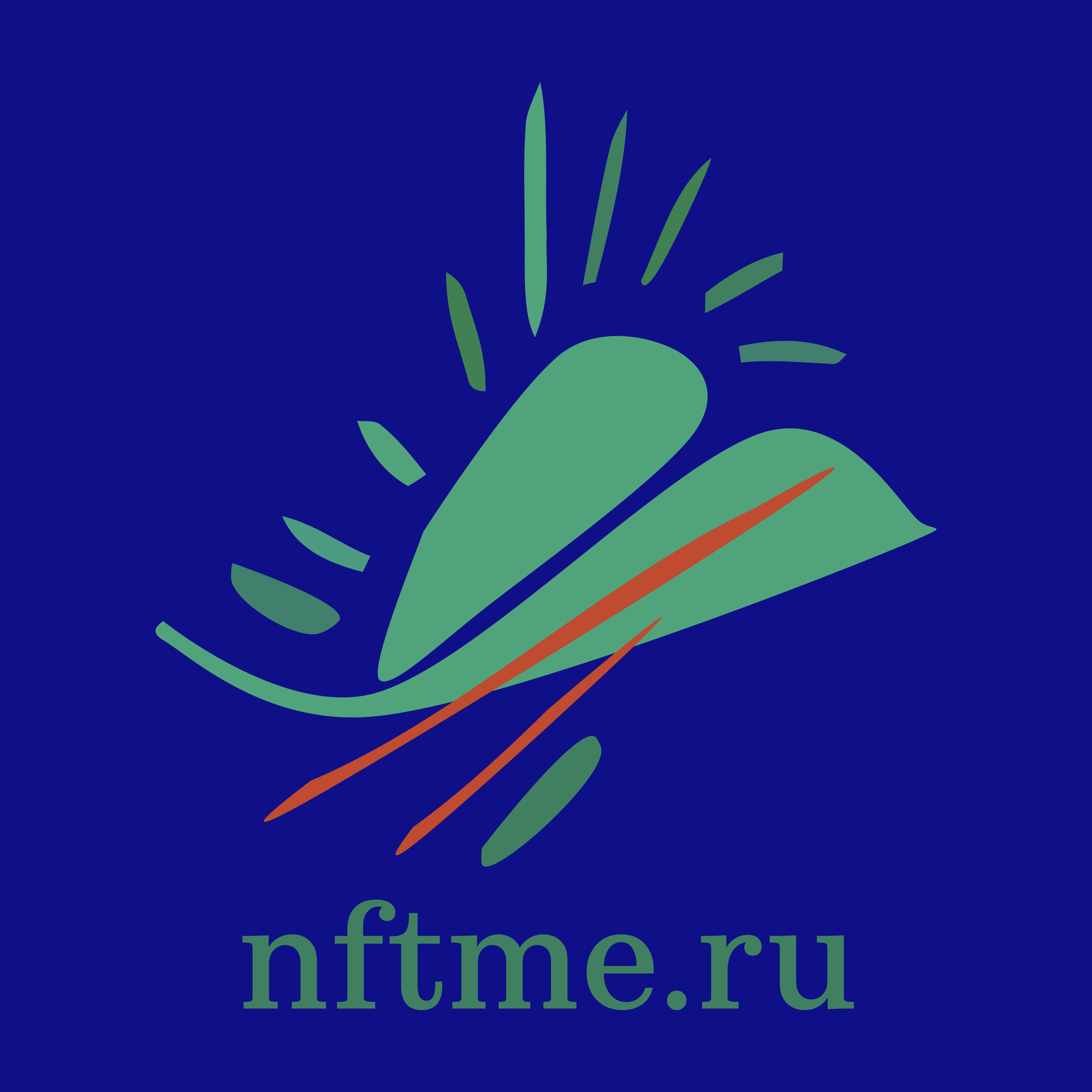 Company logo «nftme.ru»