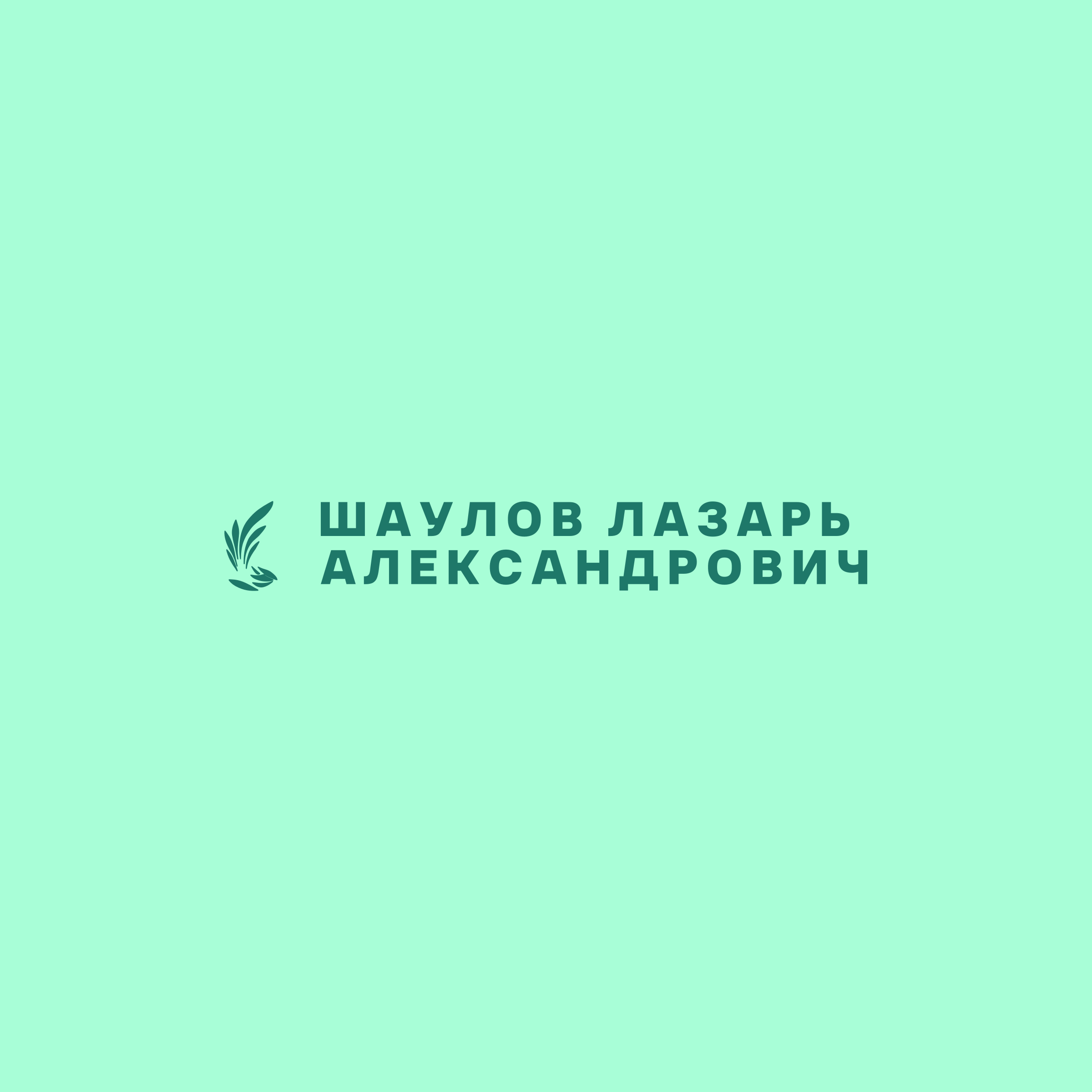 Company logo «Шаулов Лазарь Александрович»