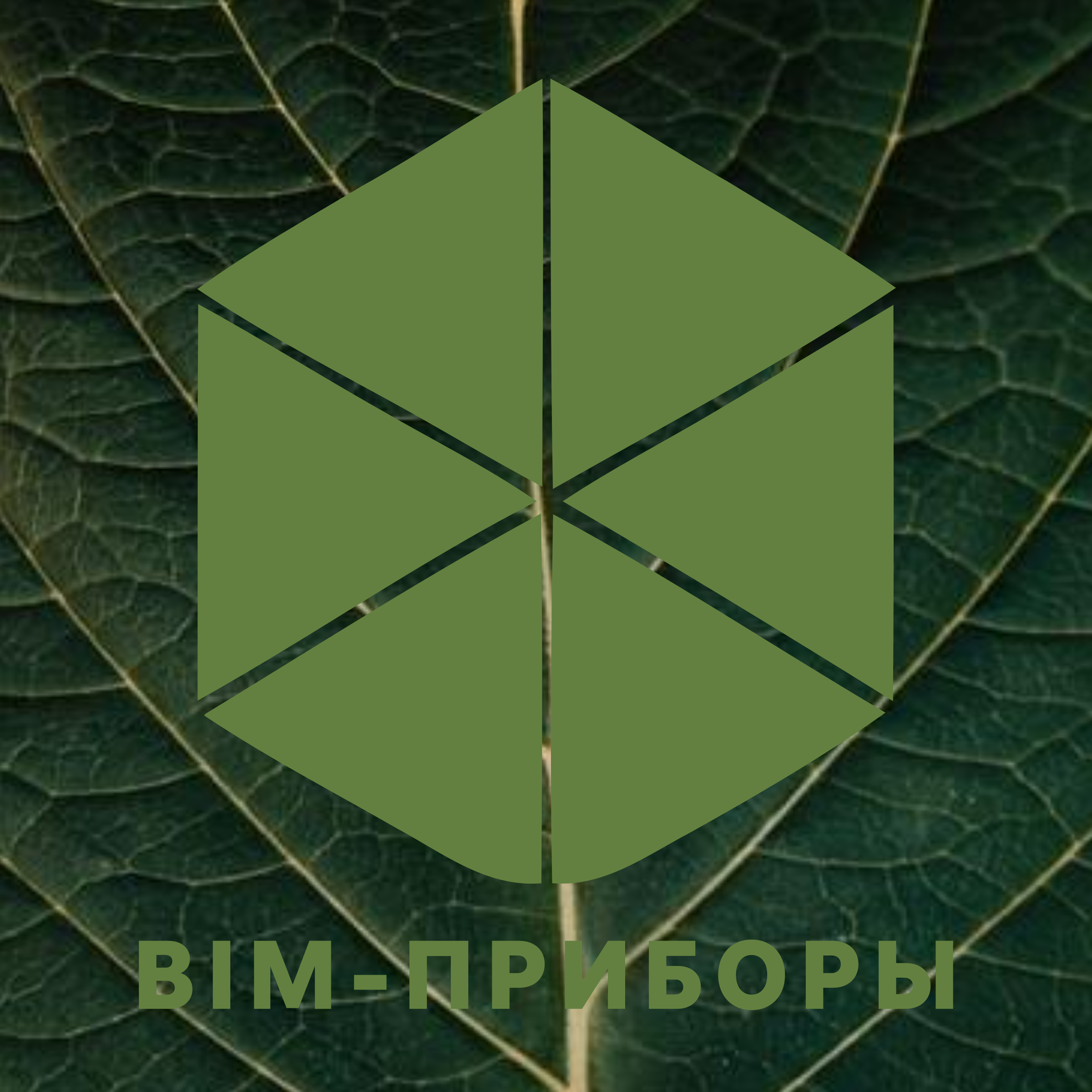 Логотип компании «BIM-приборы»