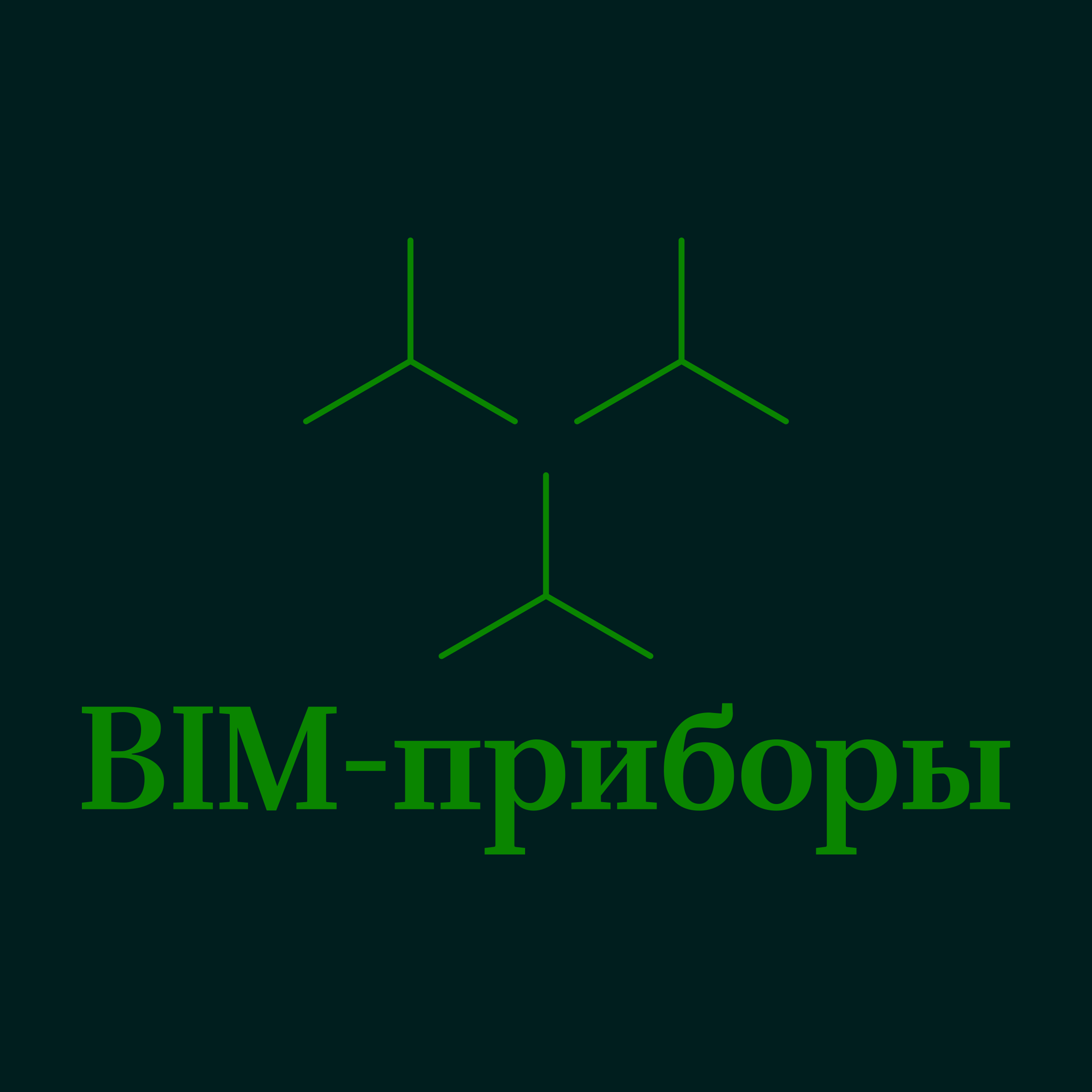 Логотип компании «BIM-приборы»