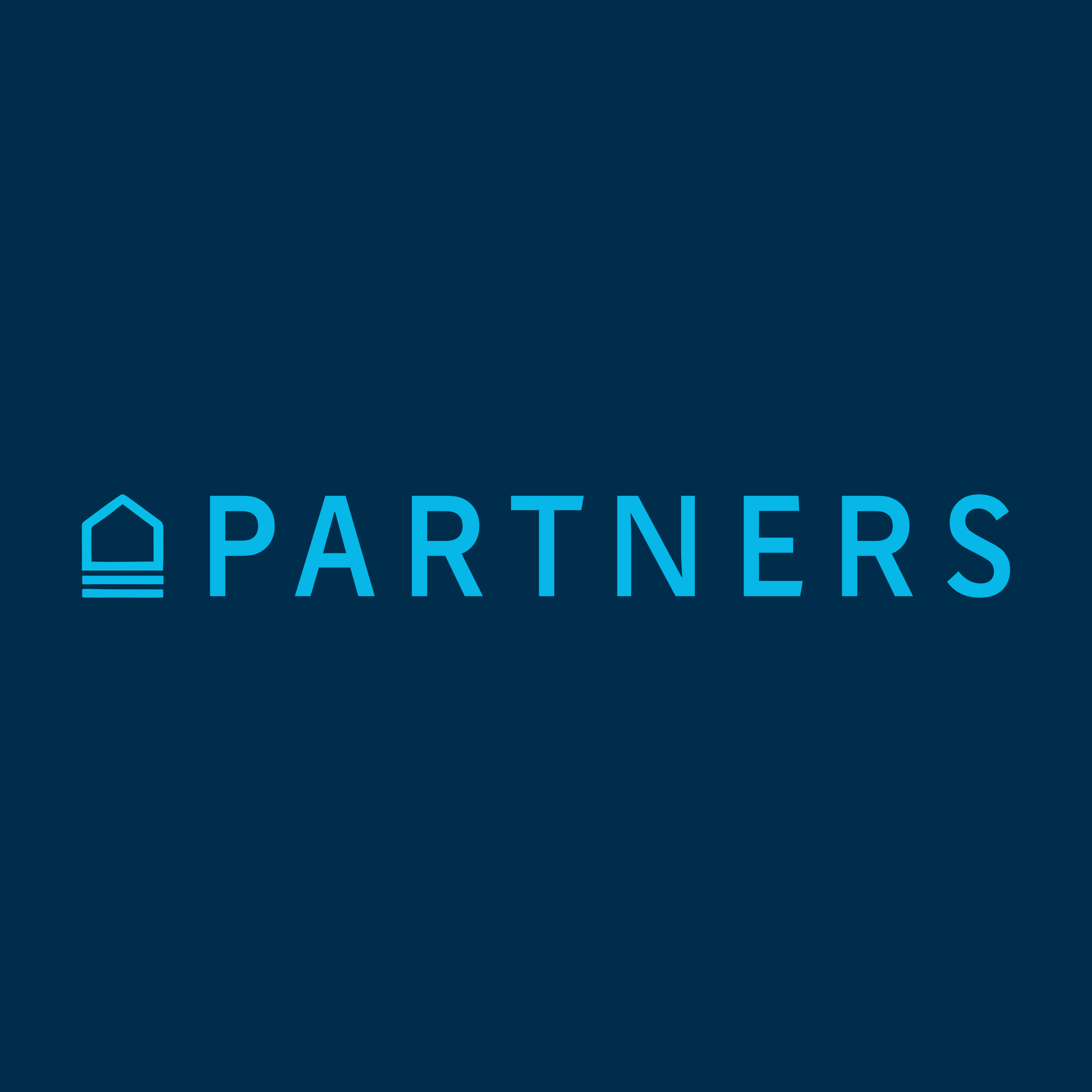 Company logo «Partners»