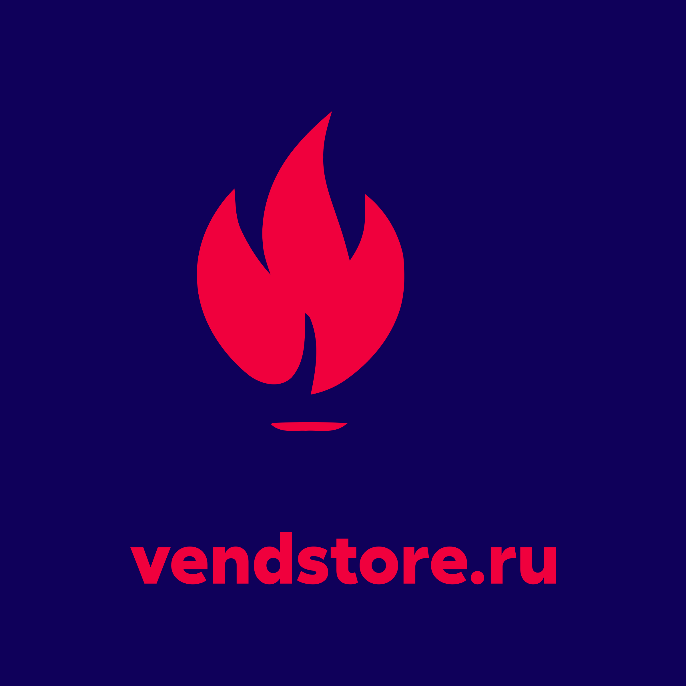 Логотип компании «vendstore.ru»