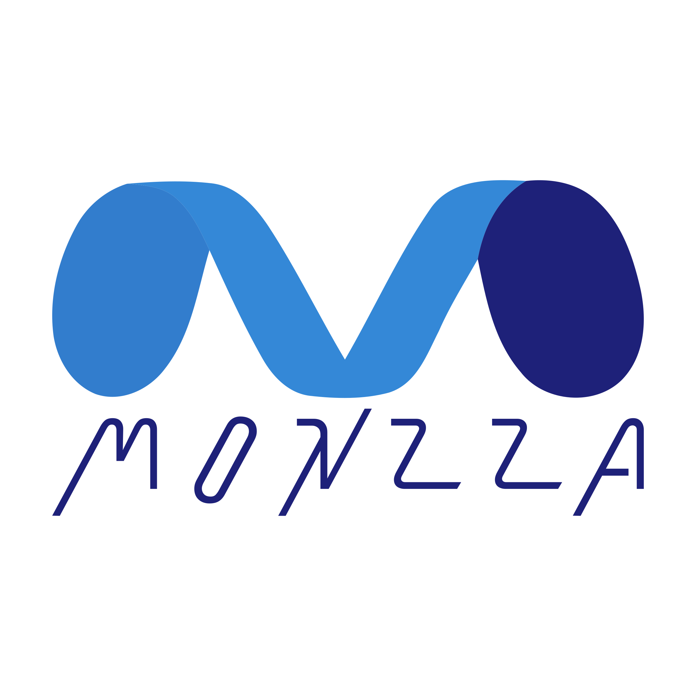 Company logo «Monzza»