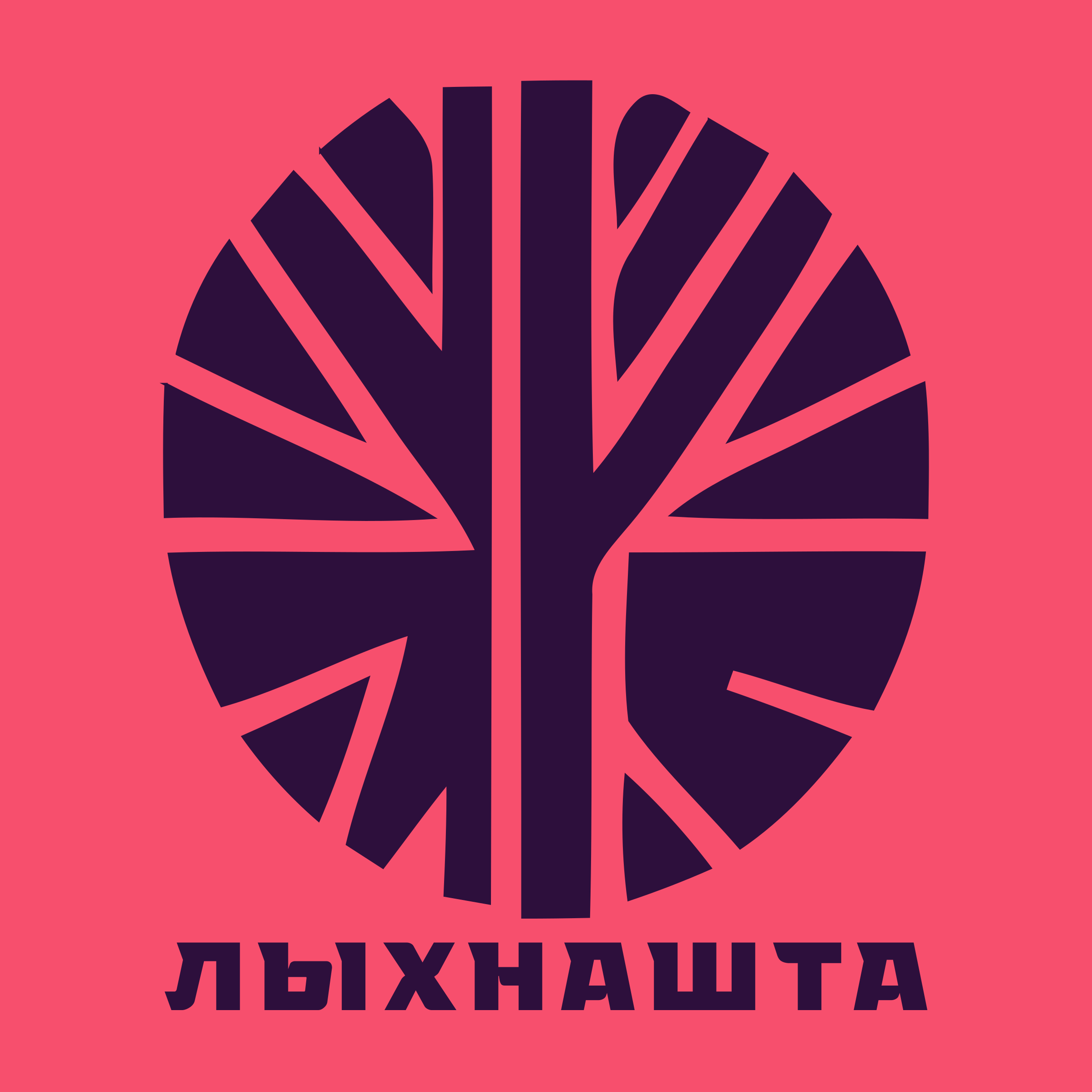 Company logo «Лыхнашта»