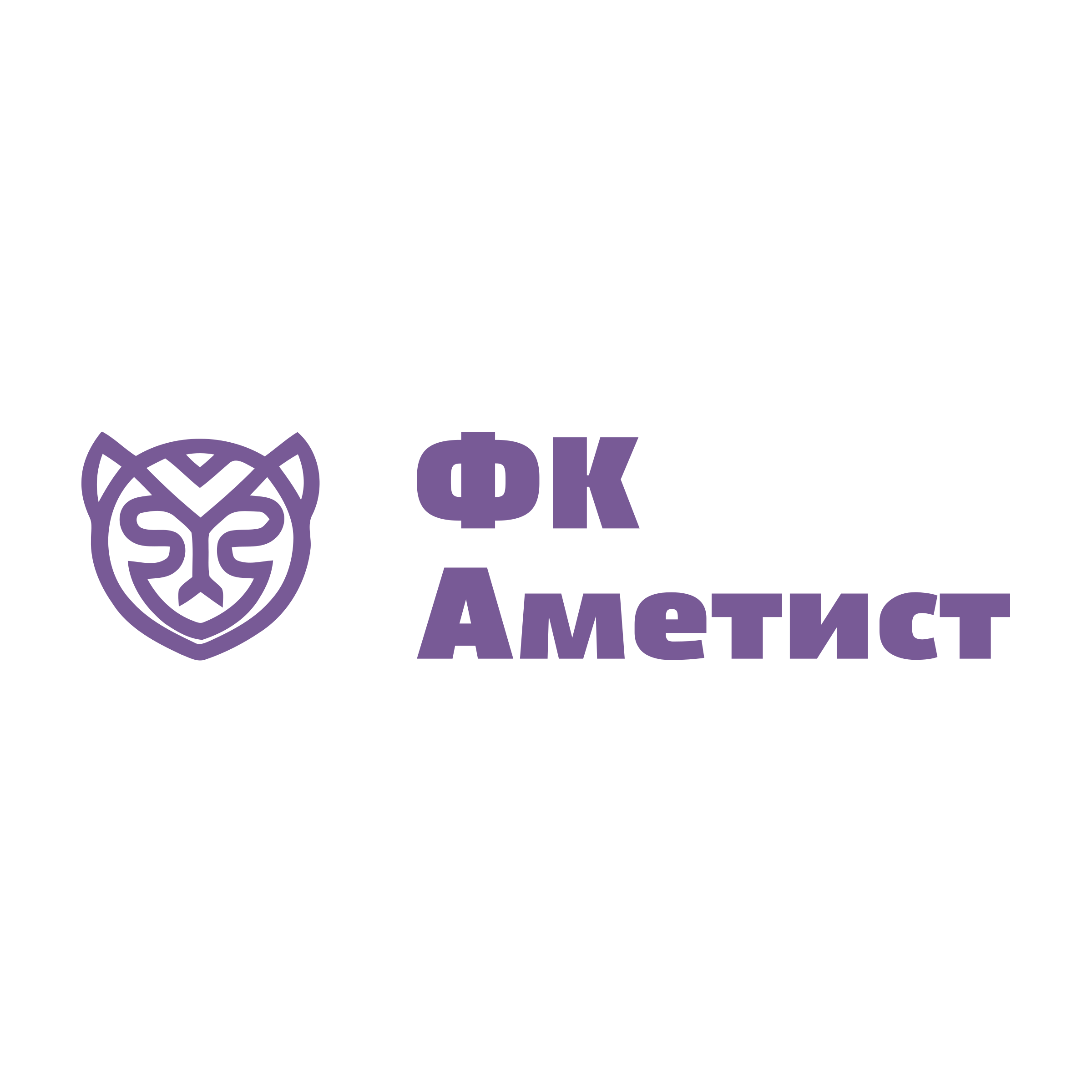 Company logo «ФК Аметист»