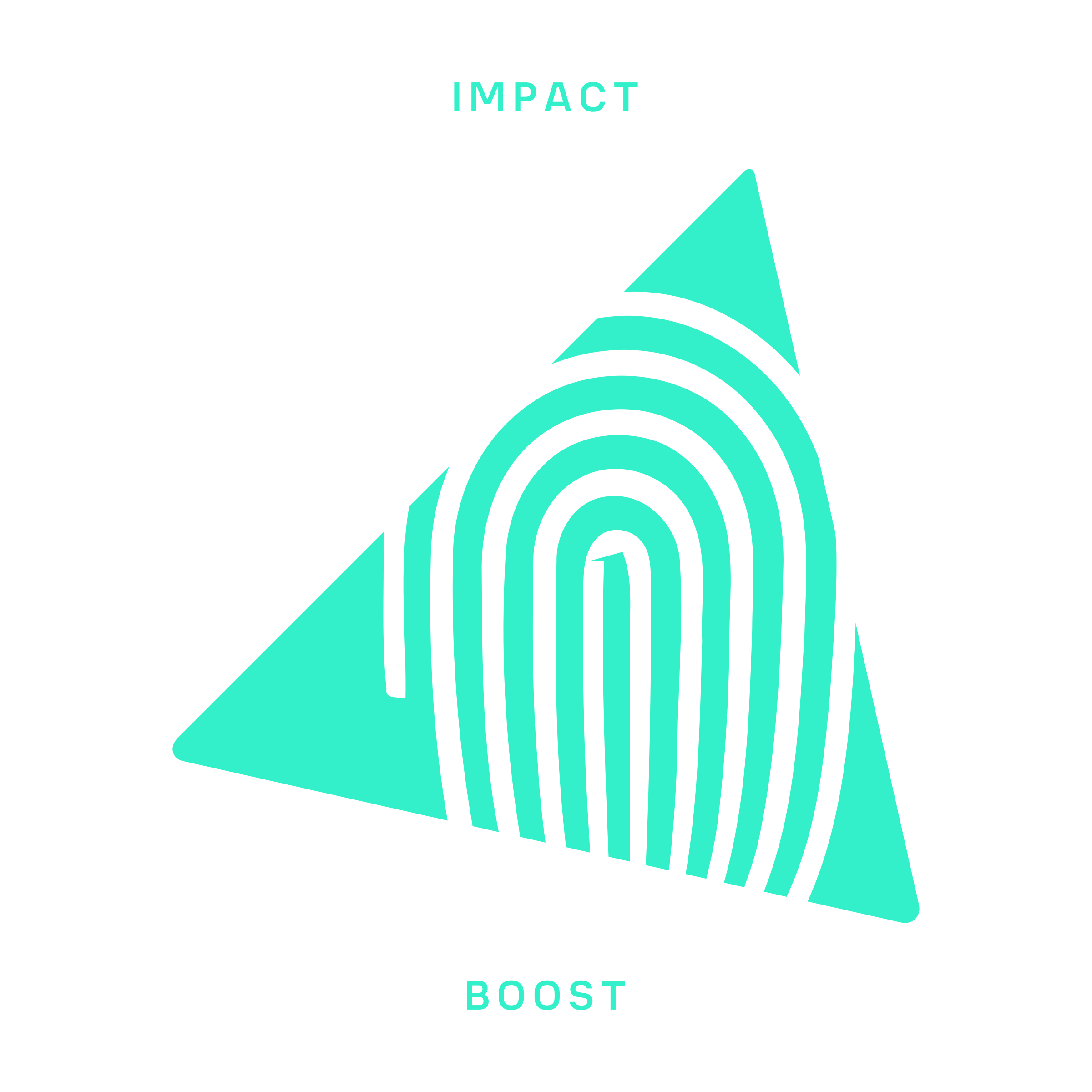 Логотип компании «Impact Boost»