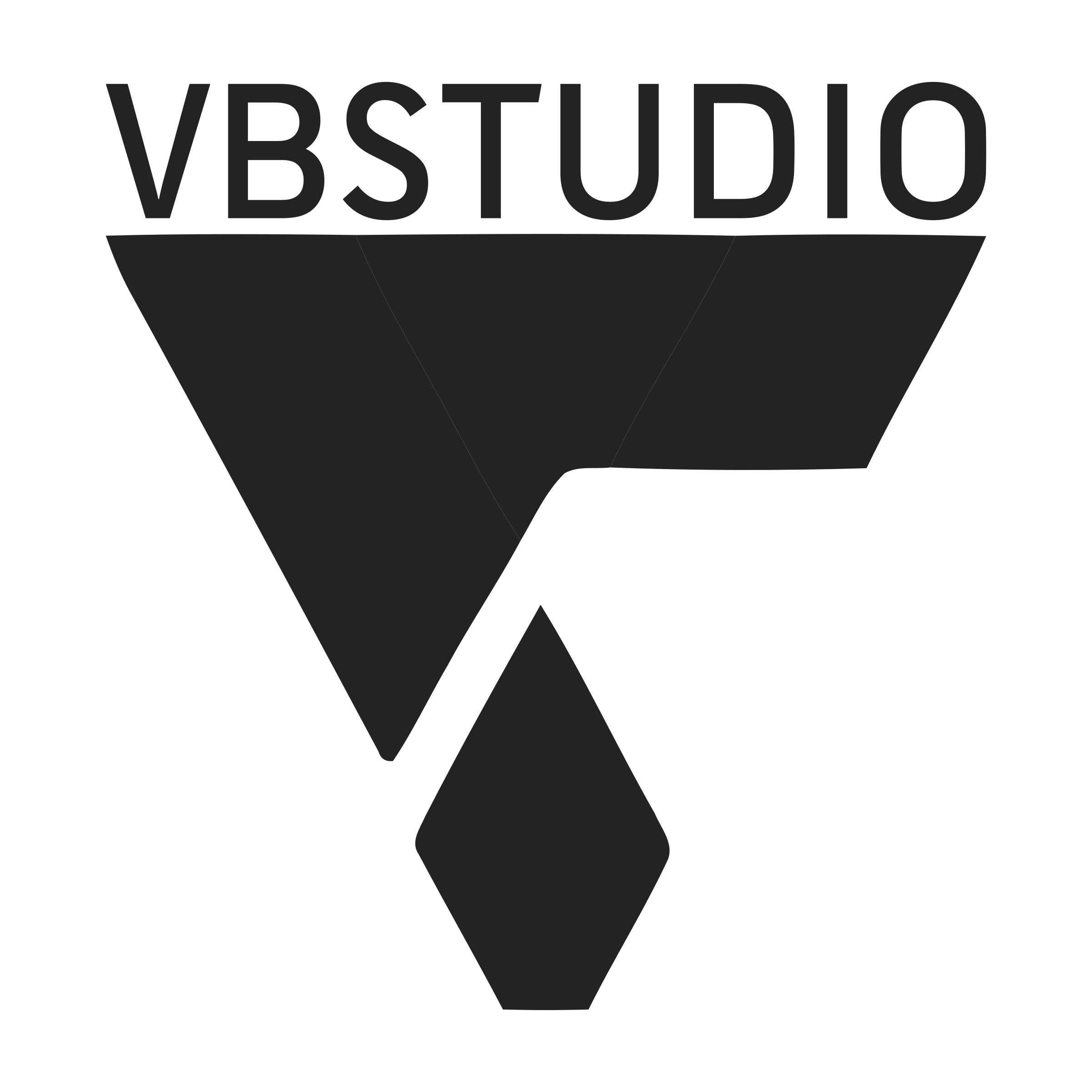 Логотип компании «VBSTUDIO»