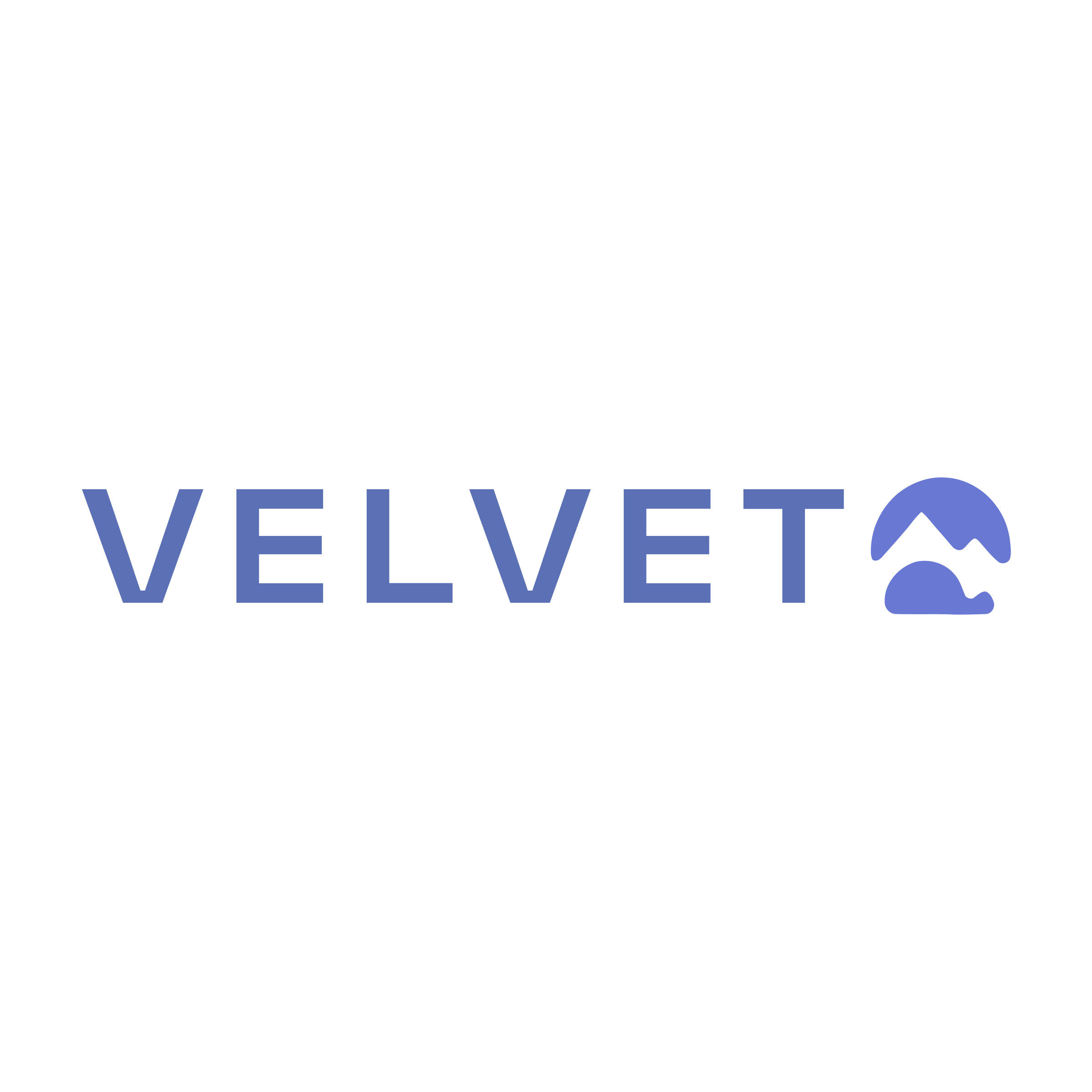 Company logo «Velvet»