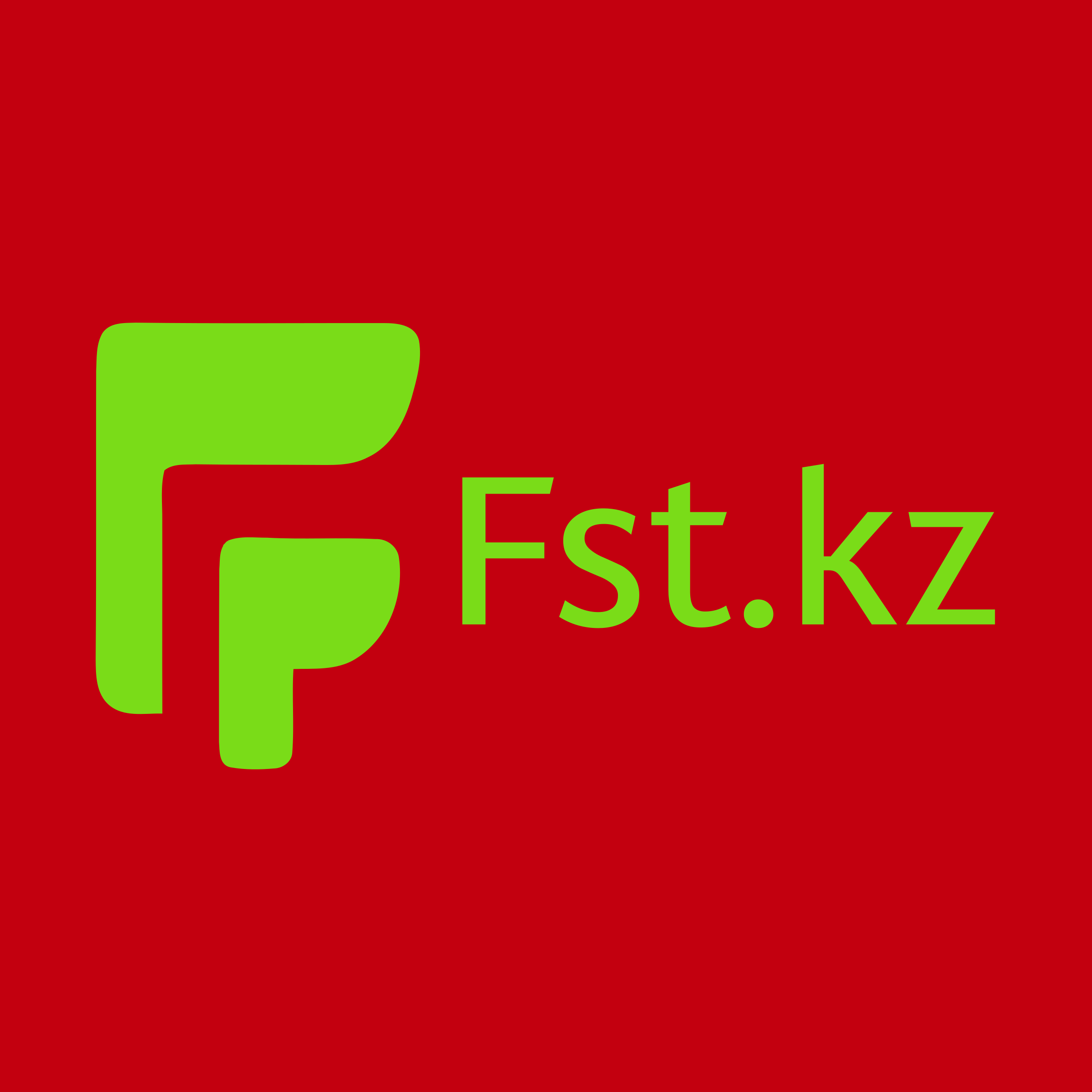 Логотип компании «Fst.kz»