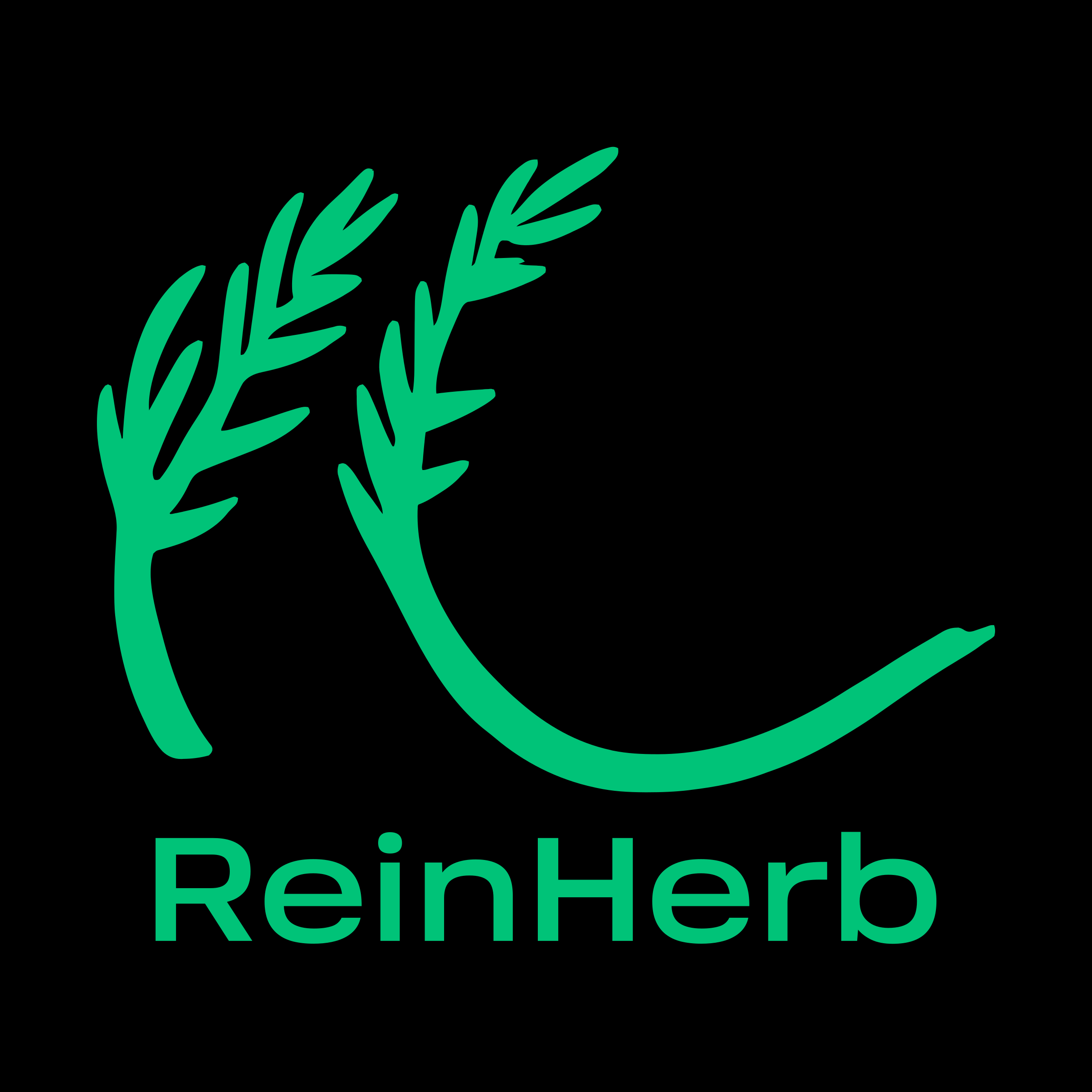 Логотип компании «ReinHerb»