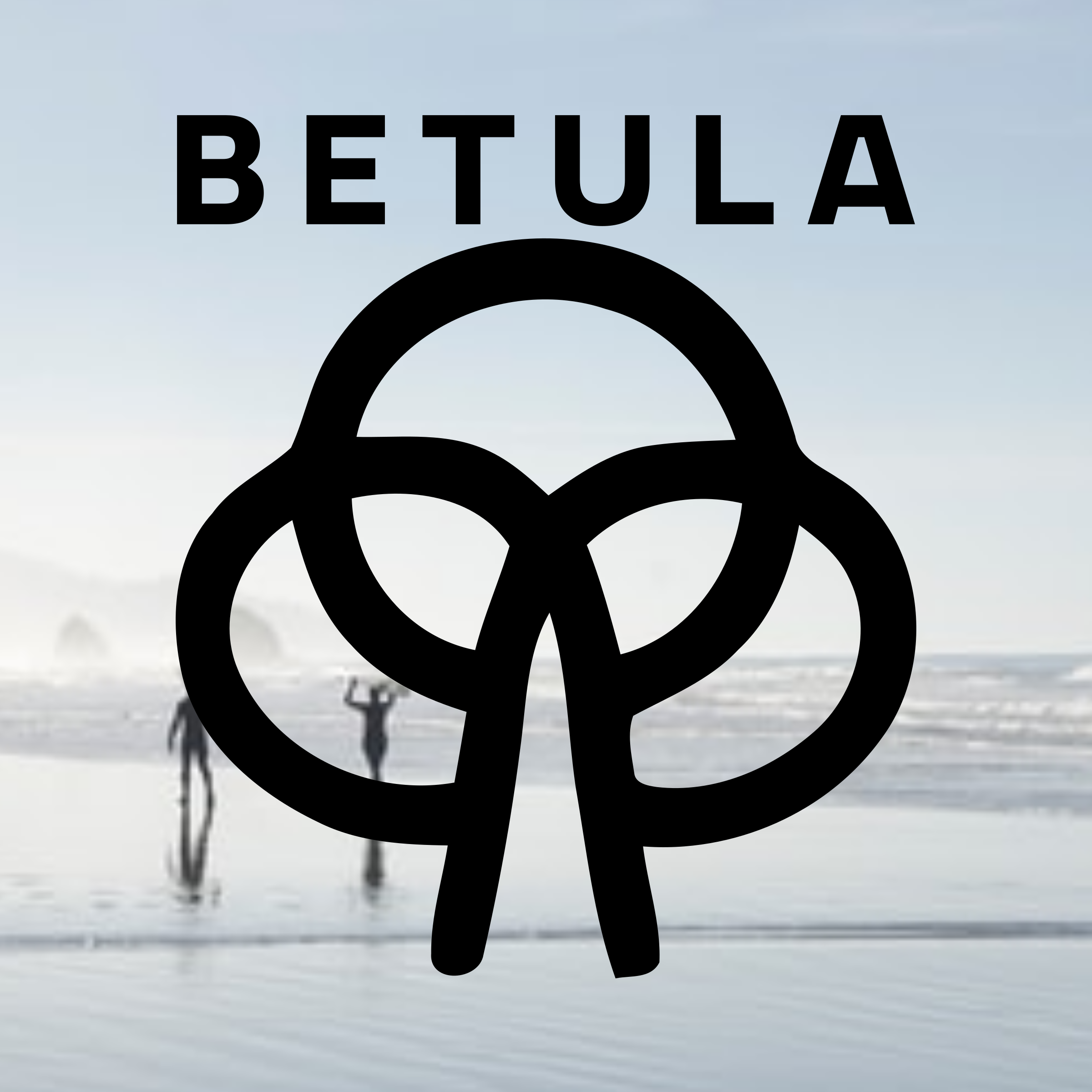 Логотип компании «BETULA»