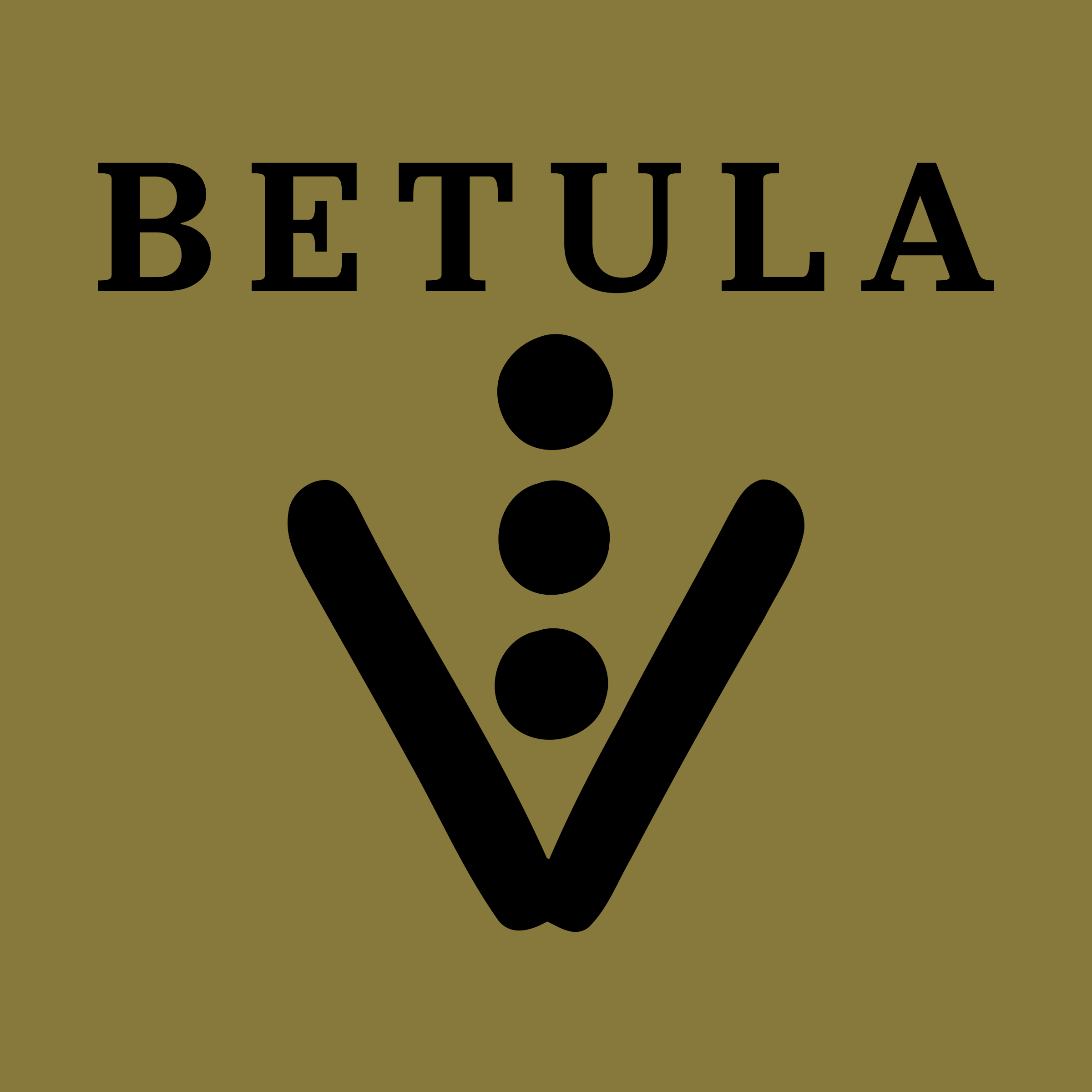 Логотип компании «BETULA»