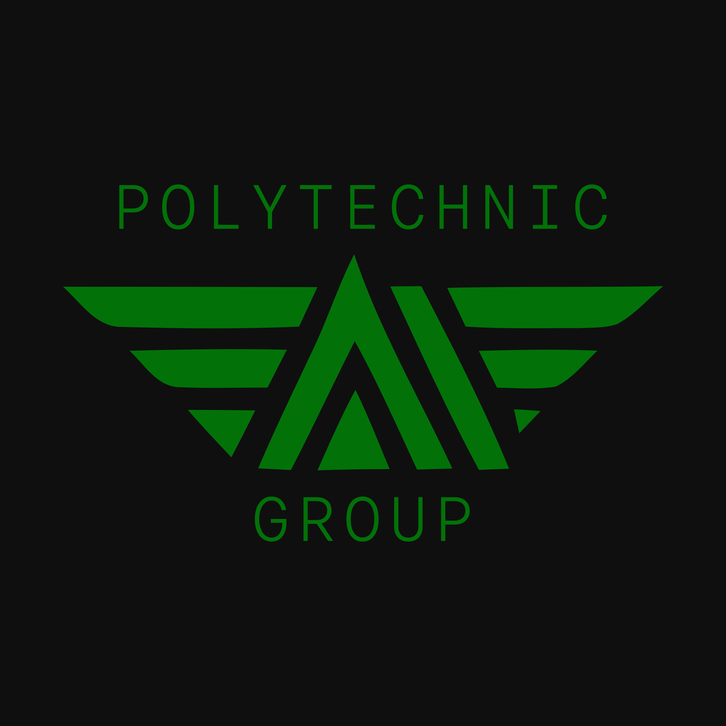 Company logo «POLYTECHNIC GROUP»