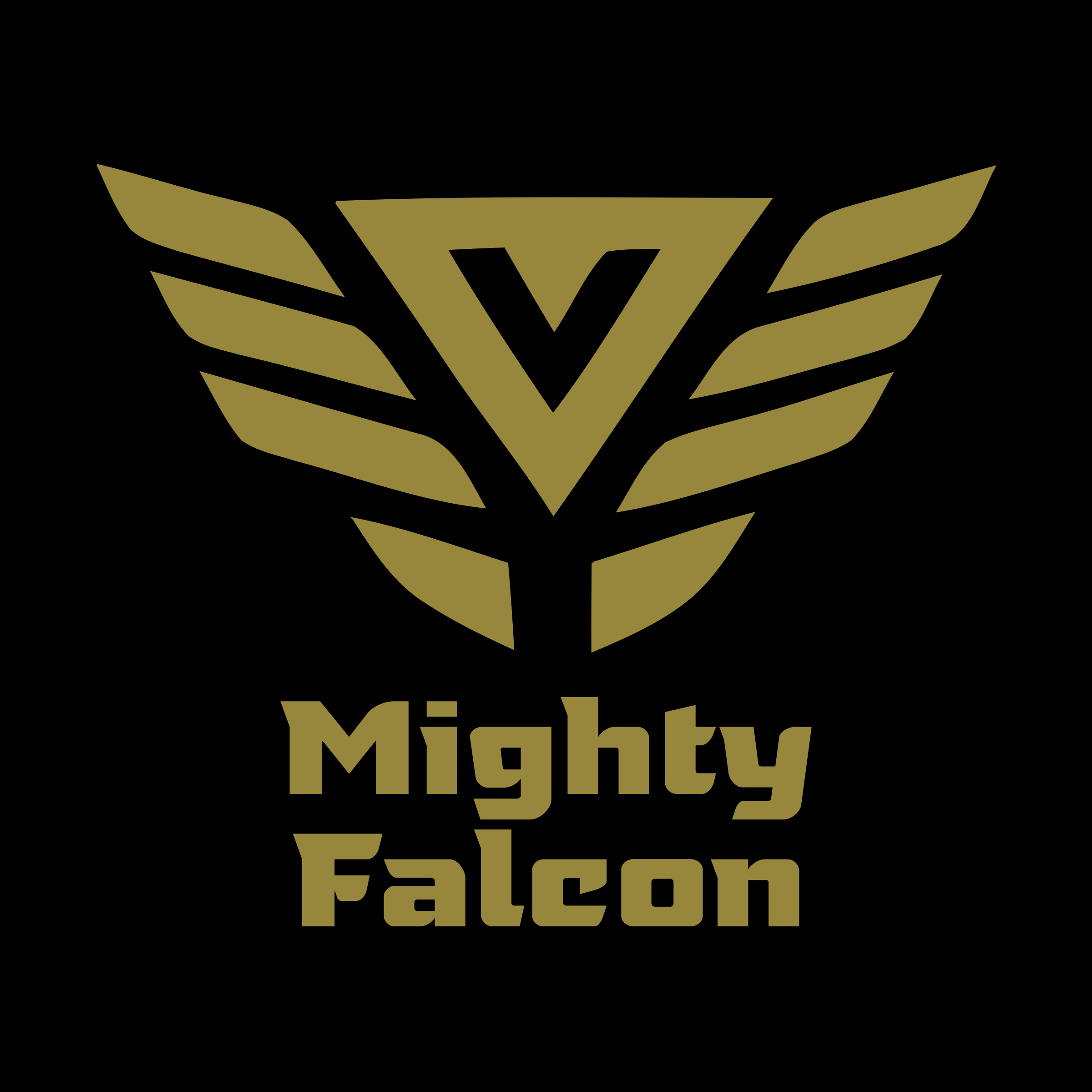 Company logo «Mighty Falcon»