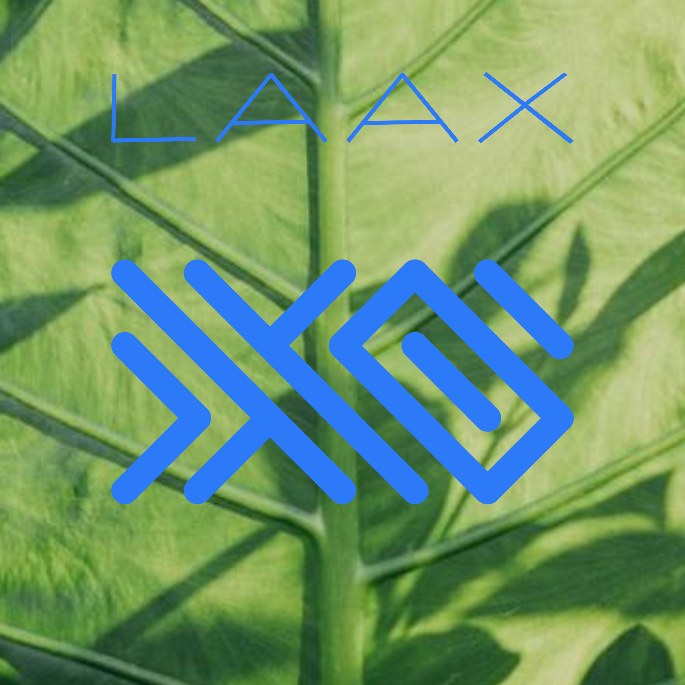 Логотип компании «Laax»