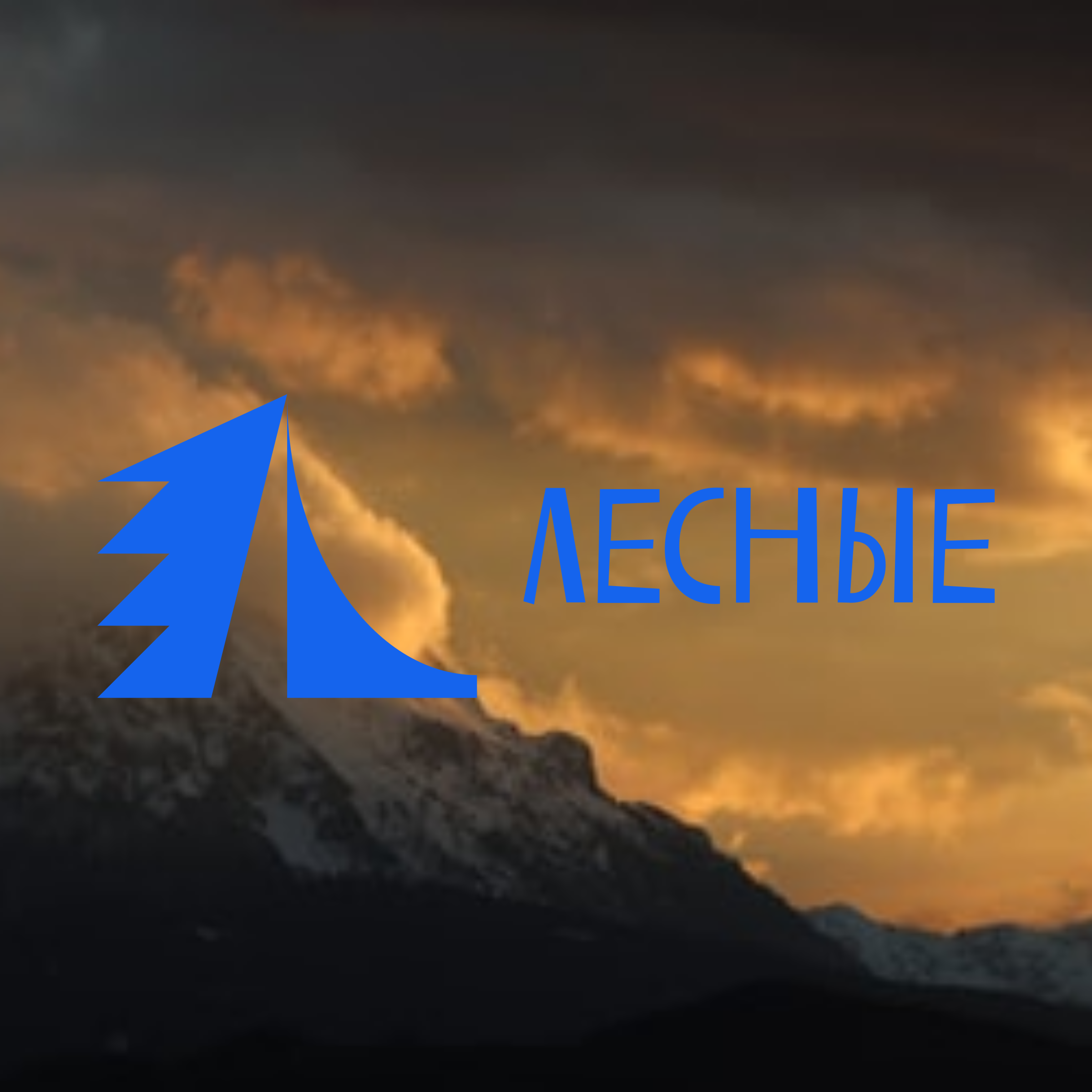 Company logo «ЛЕСНЫЕ»