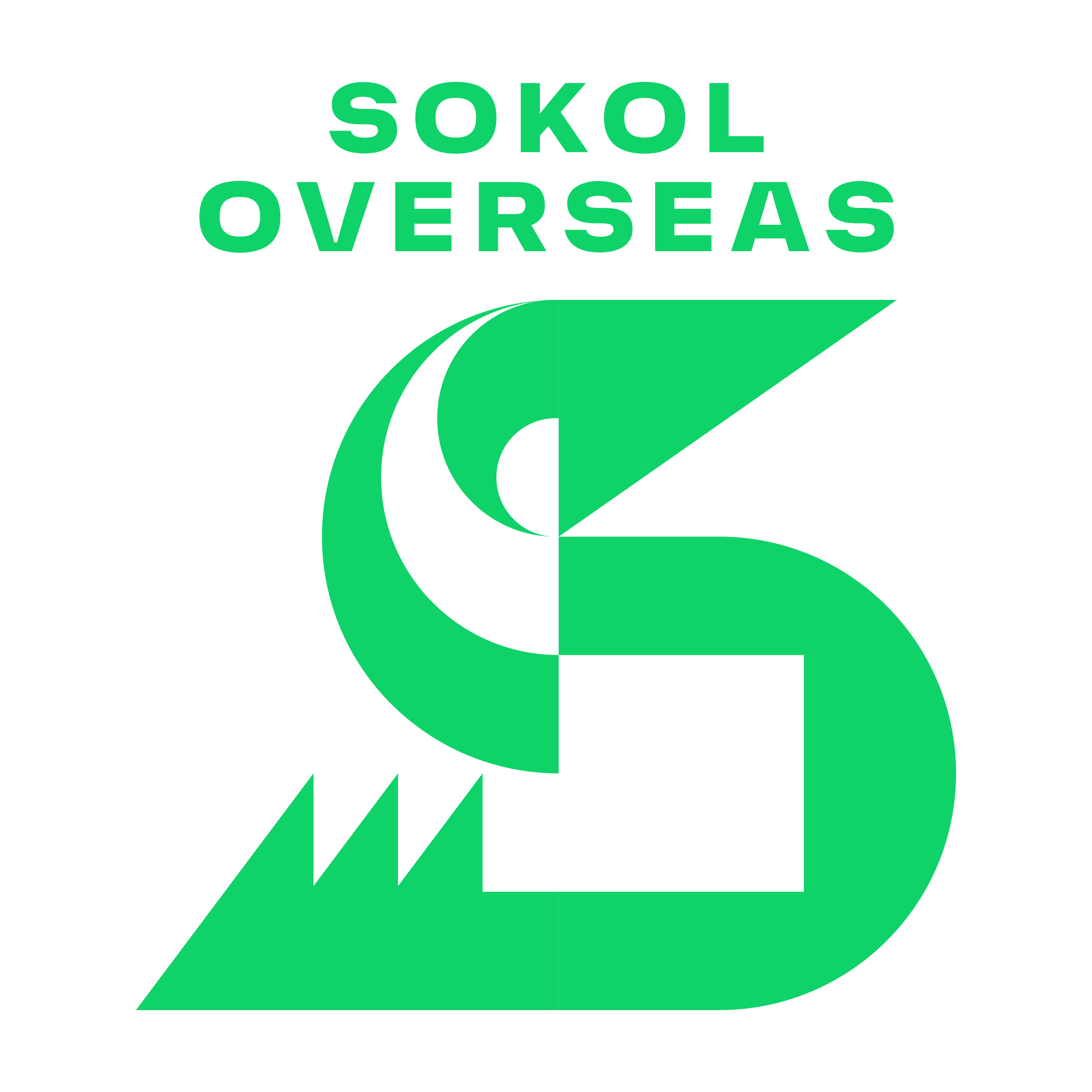 Логотип компании «Sokol Overseas»