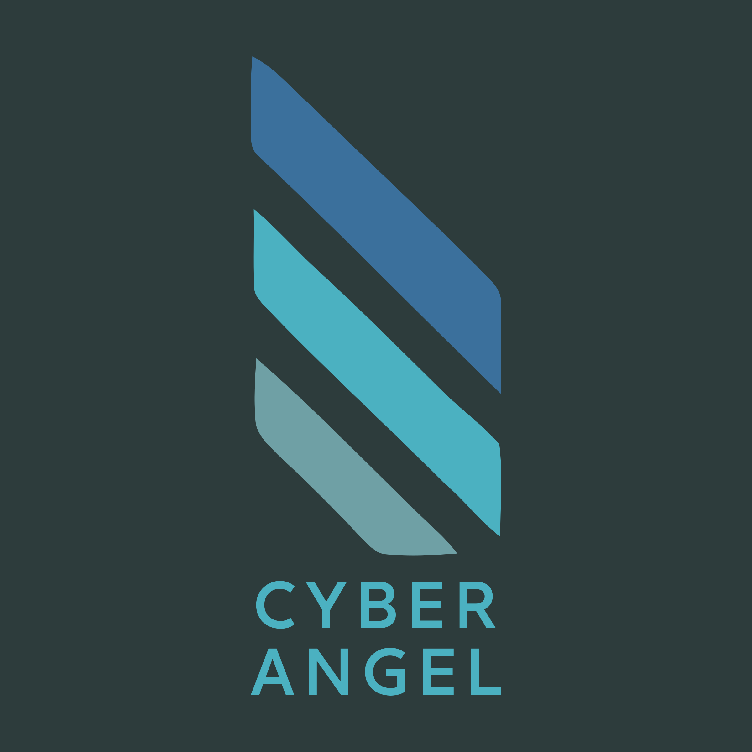 Company logo «Cyber Angel»