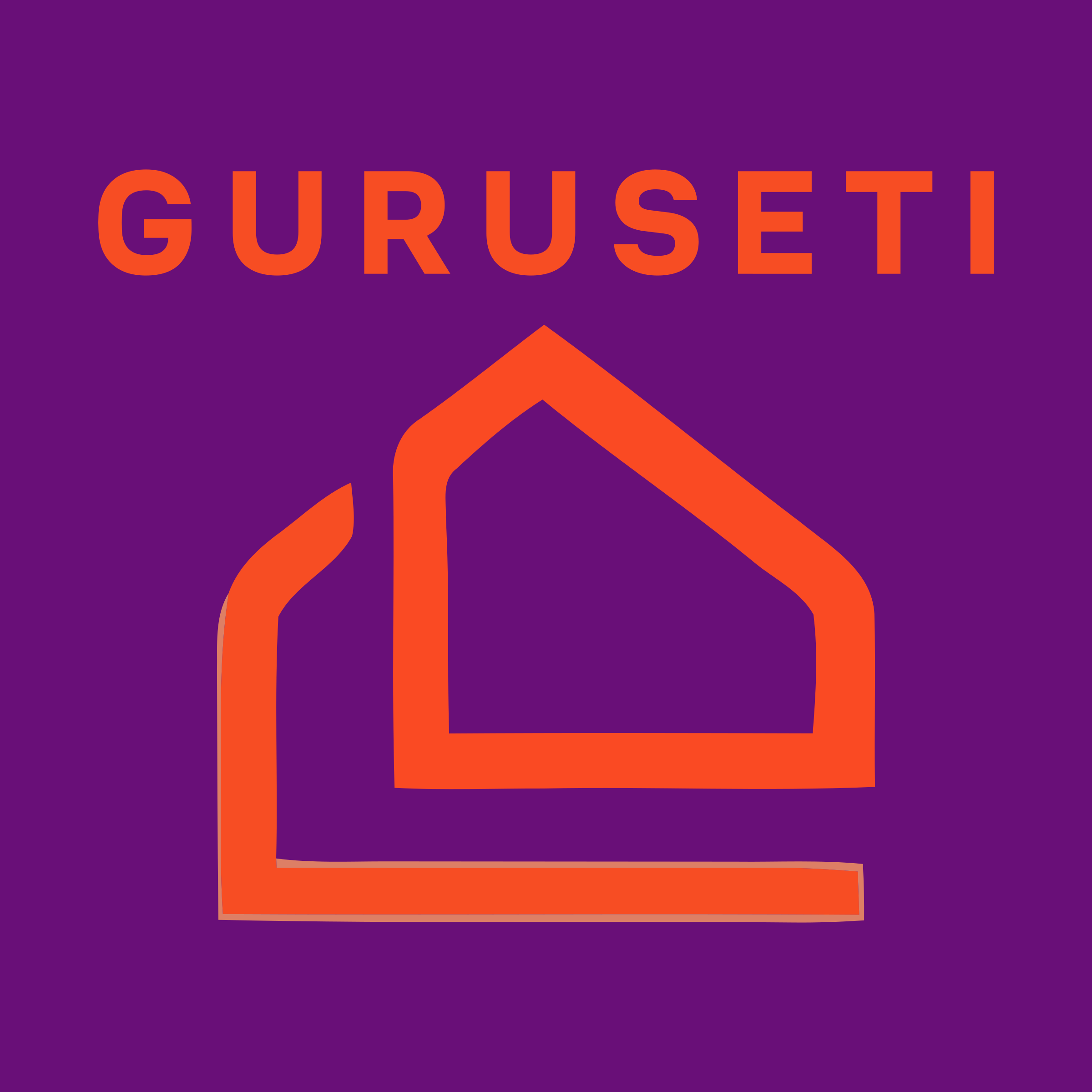 Логотип компании «guruseti»