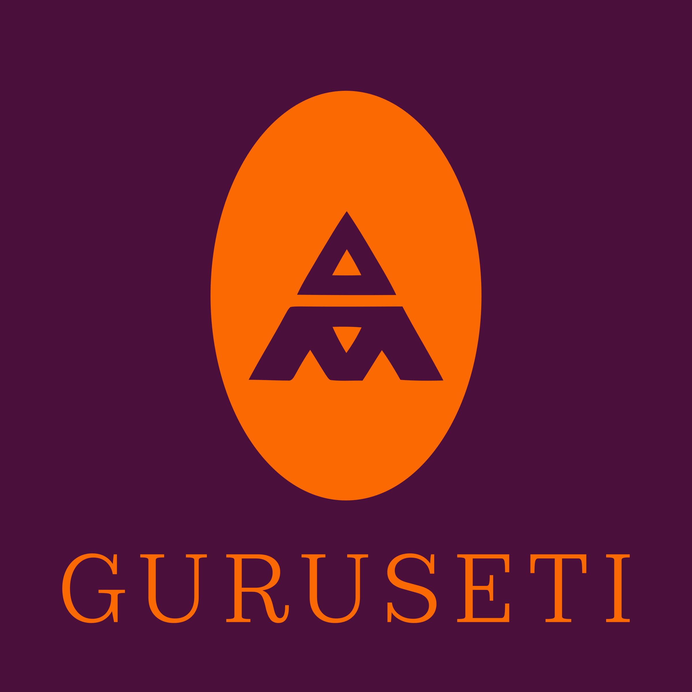 Логотип компании «guruseti»