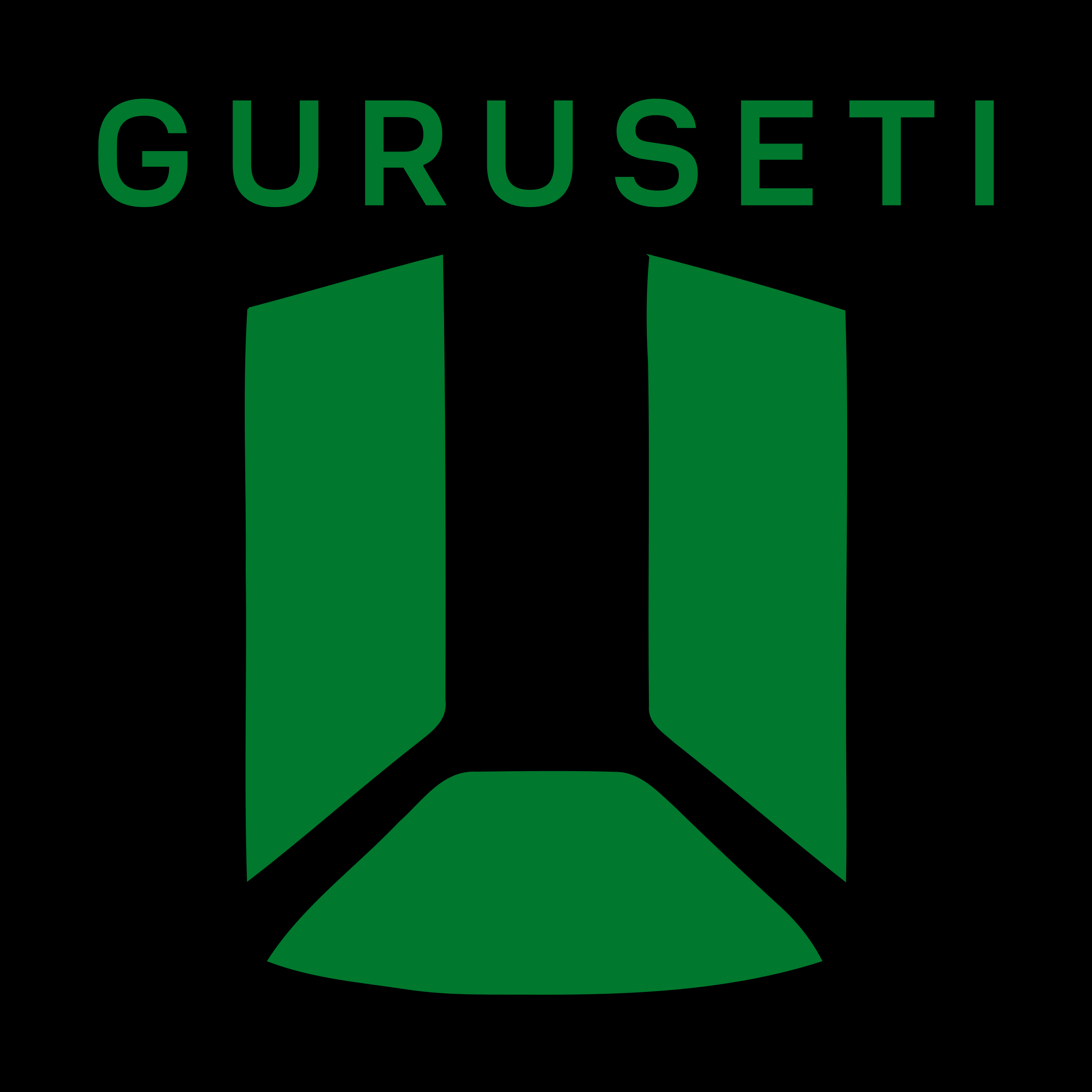 Логотип компании «guruseti»