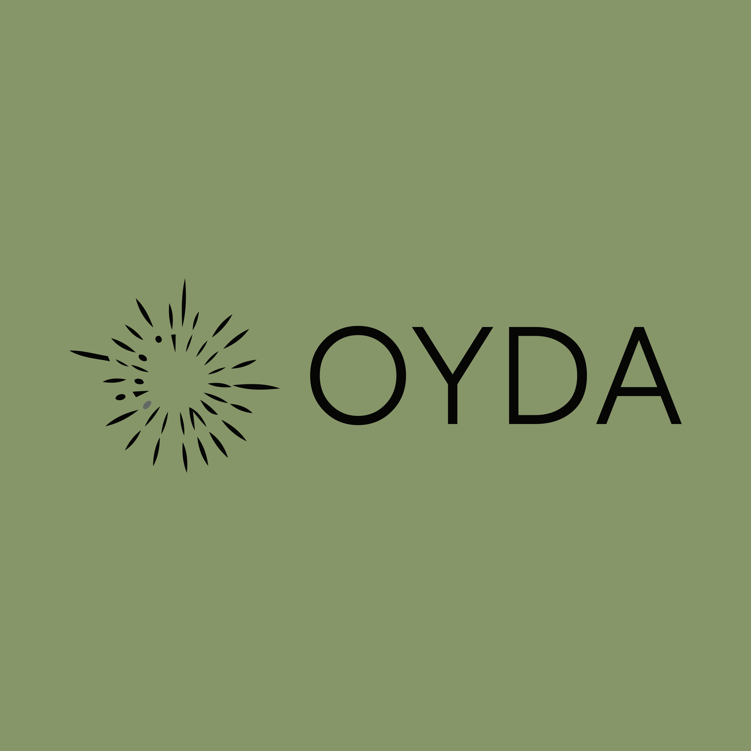 Логотип компании «OYDA»