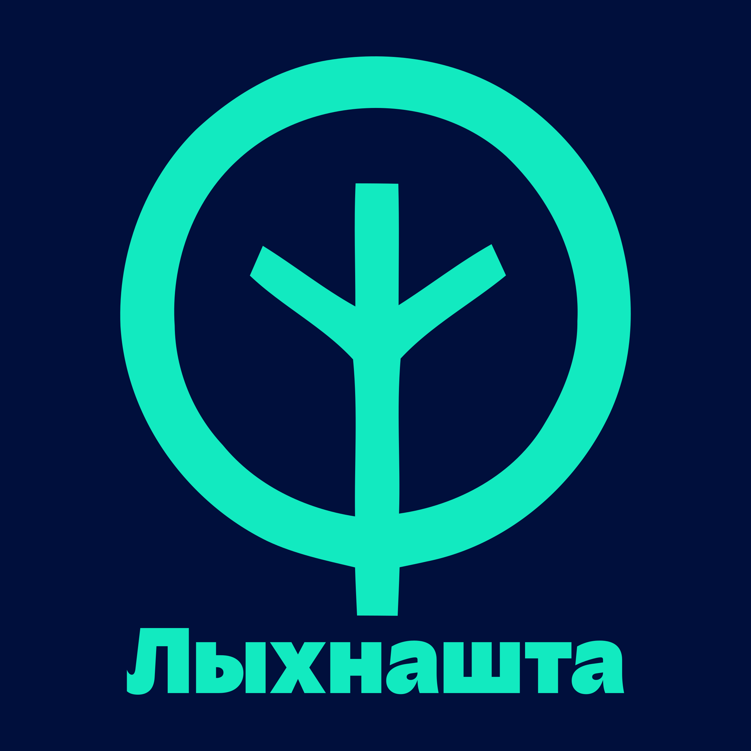 Company logo «Лыхнашта»