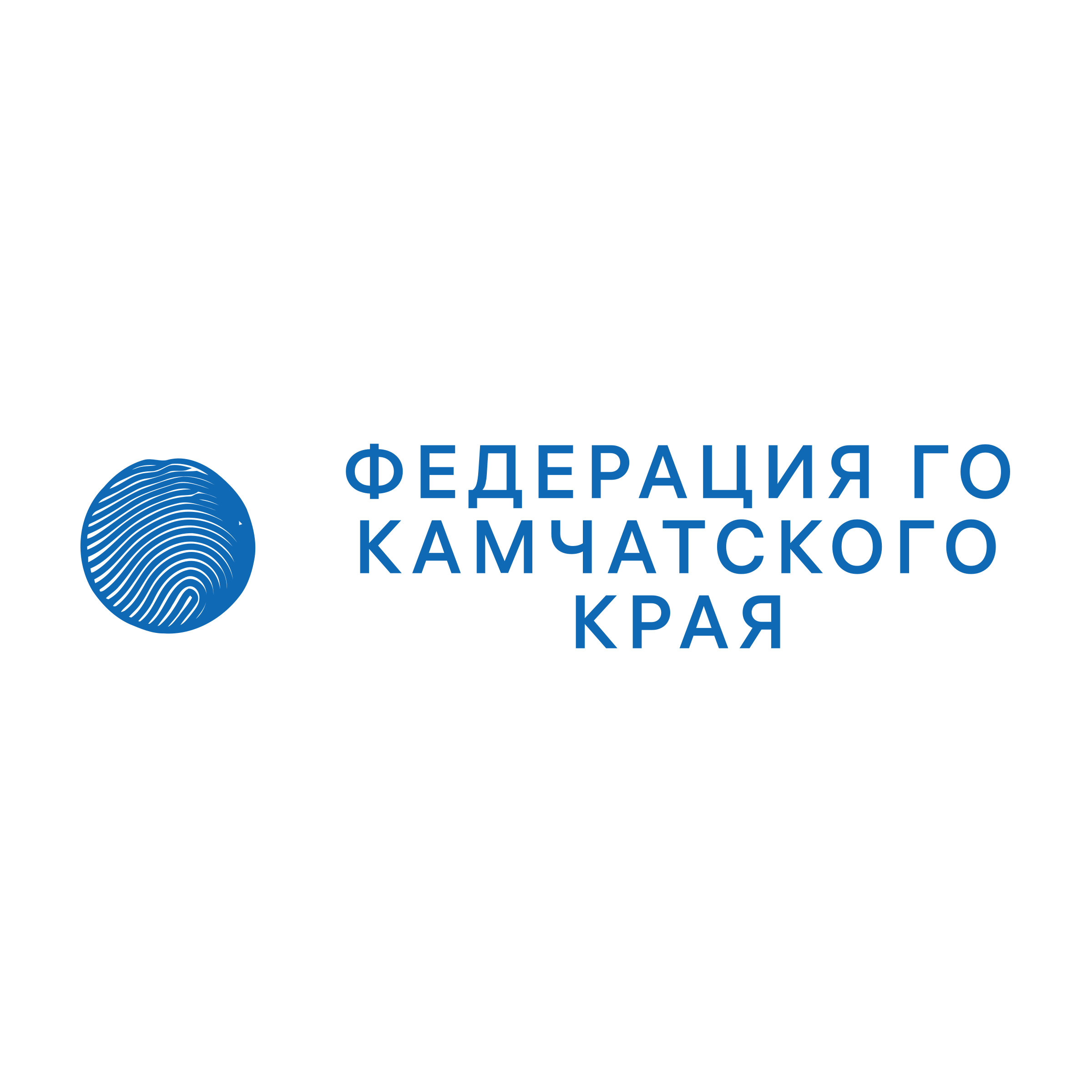 Логотип компании «Федерация Го Камчатского края»