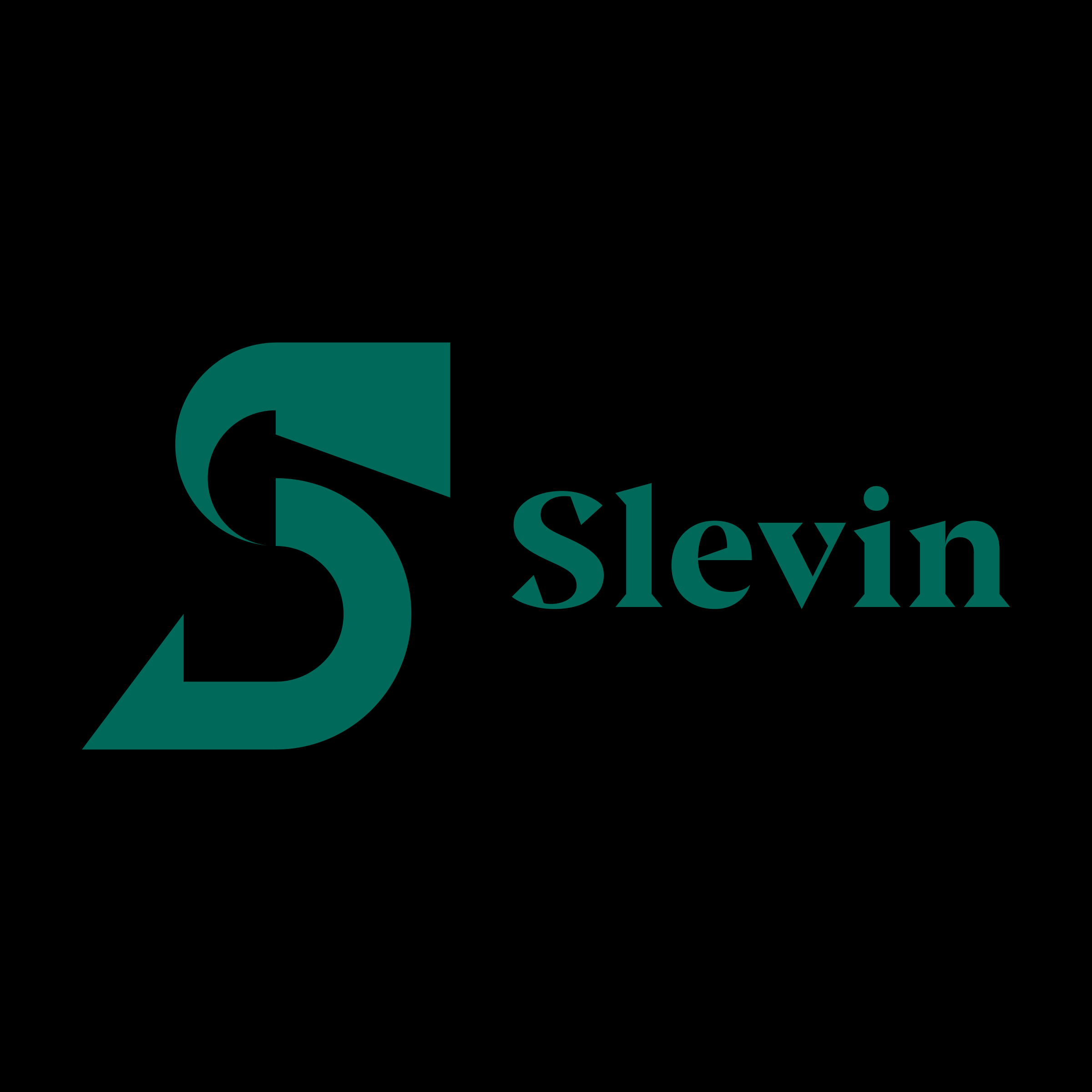 Логотип компании «Slevin»