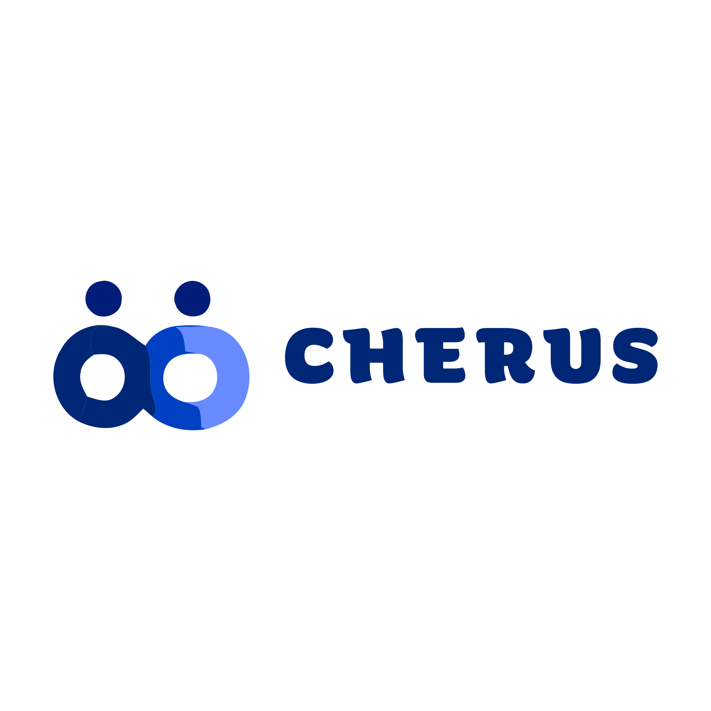 Логотип компании «cherus»