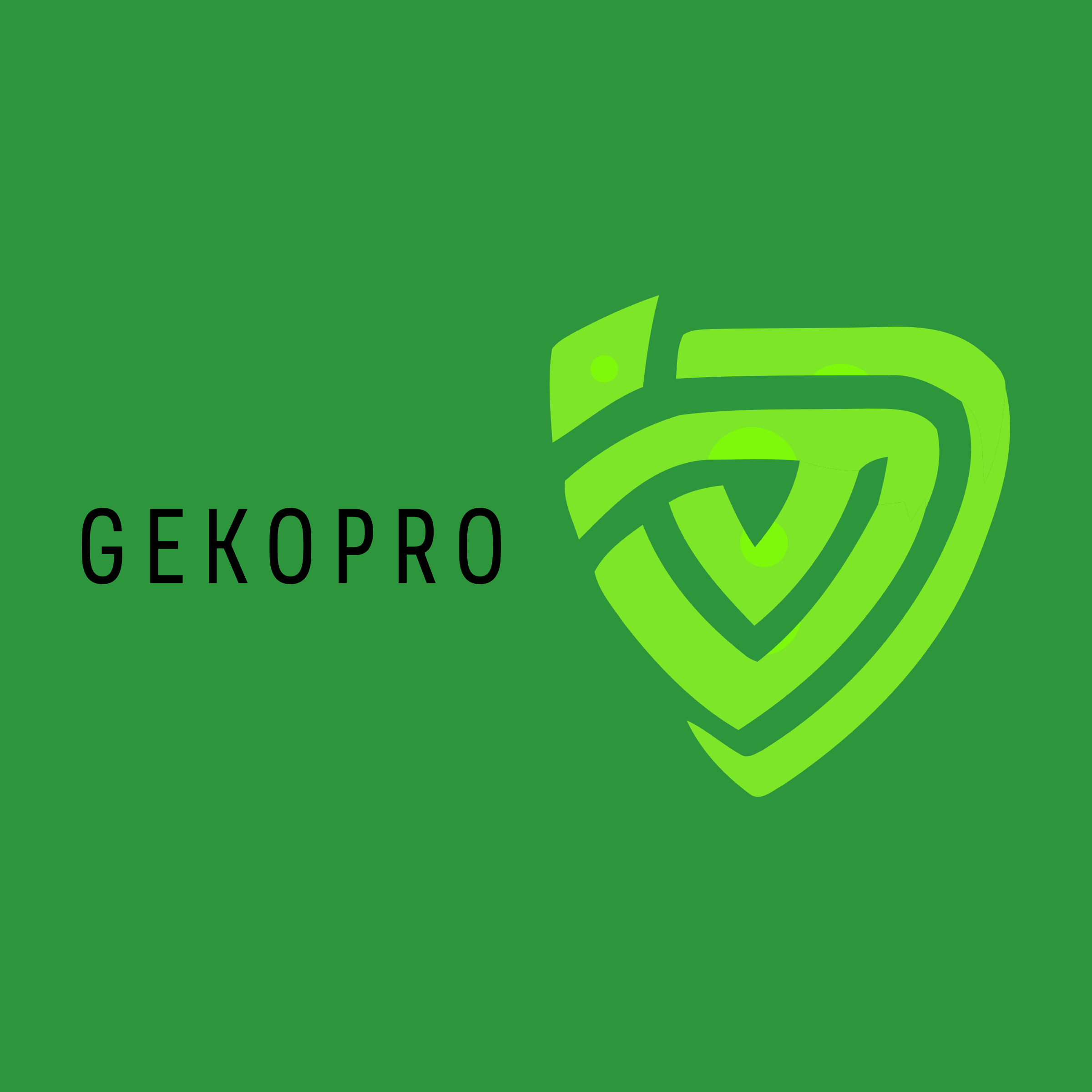 Company logo «GEKOPRO»