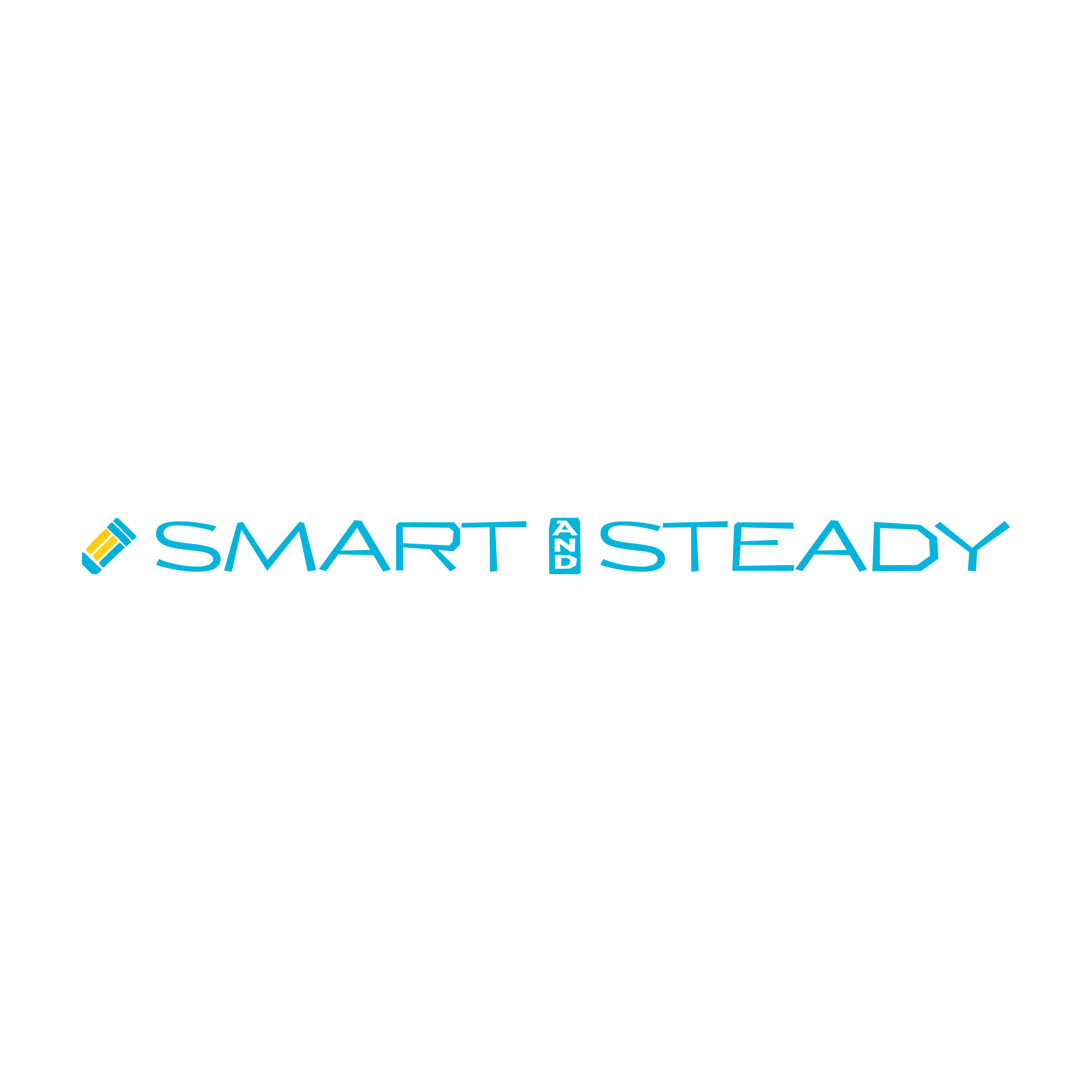 Company logo «Smart & Steady»