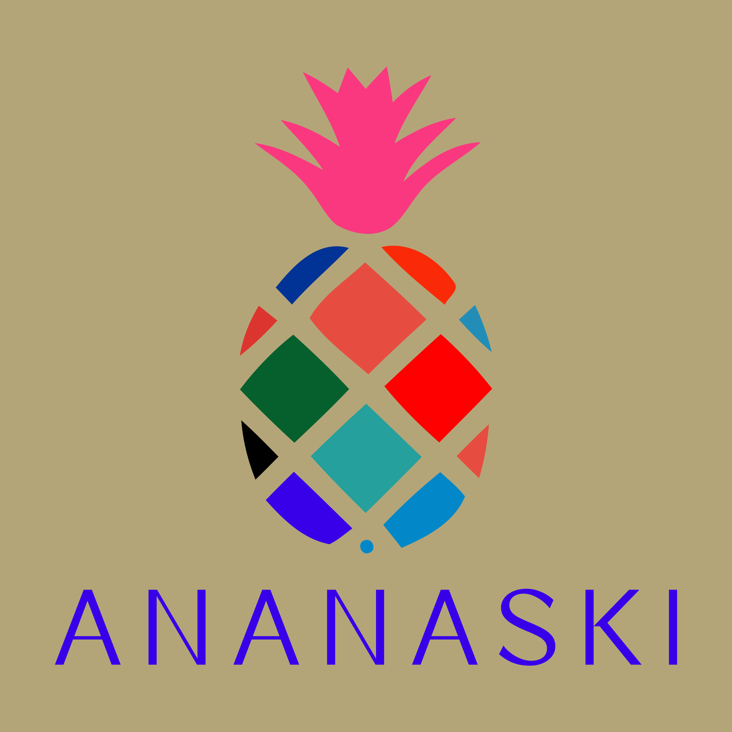 Company logo «ananaski»