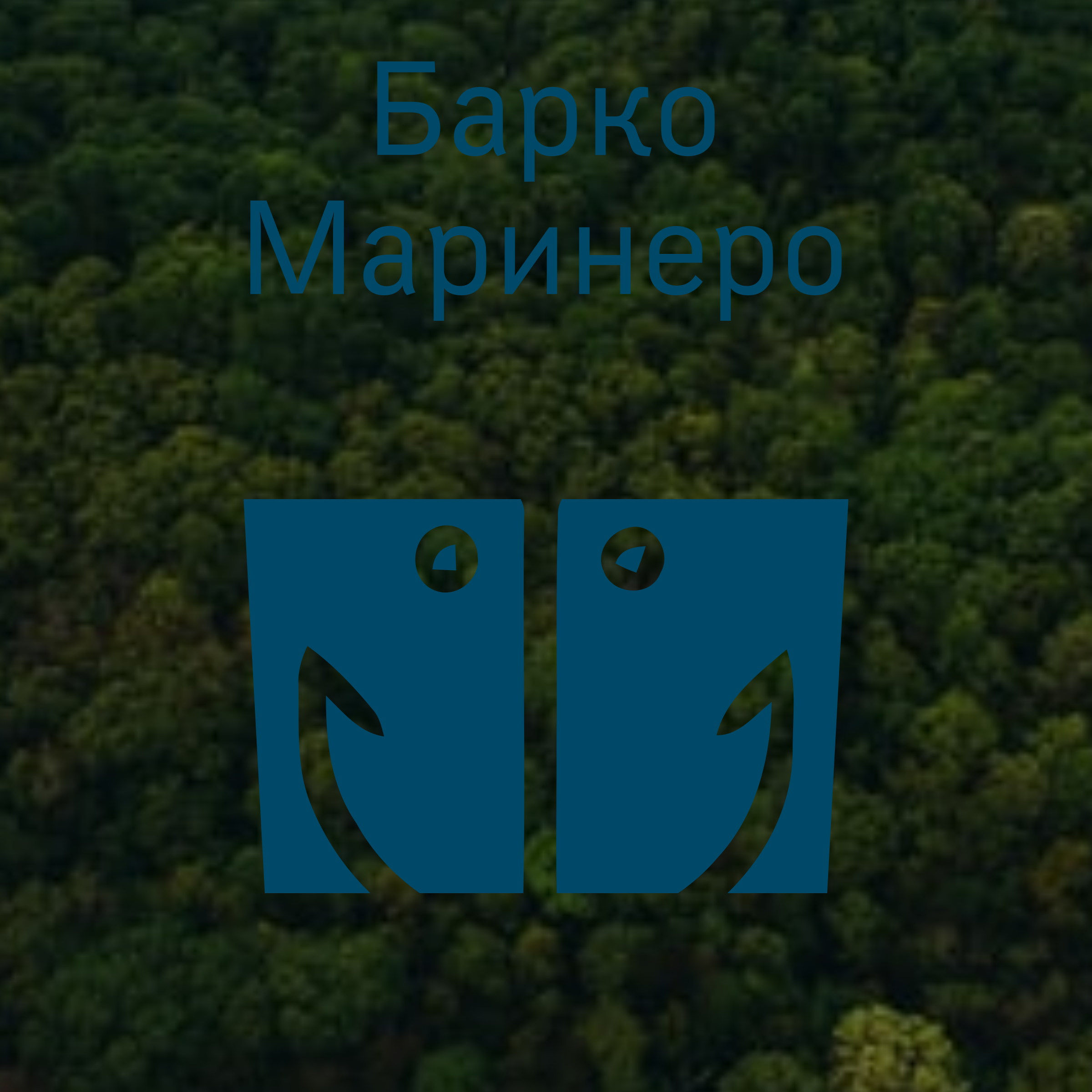 Логотип компании «Барко Маринеро»
