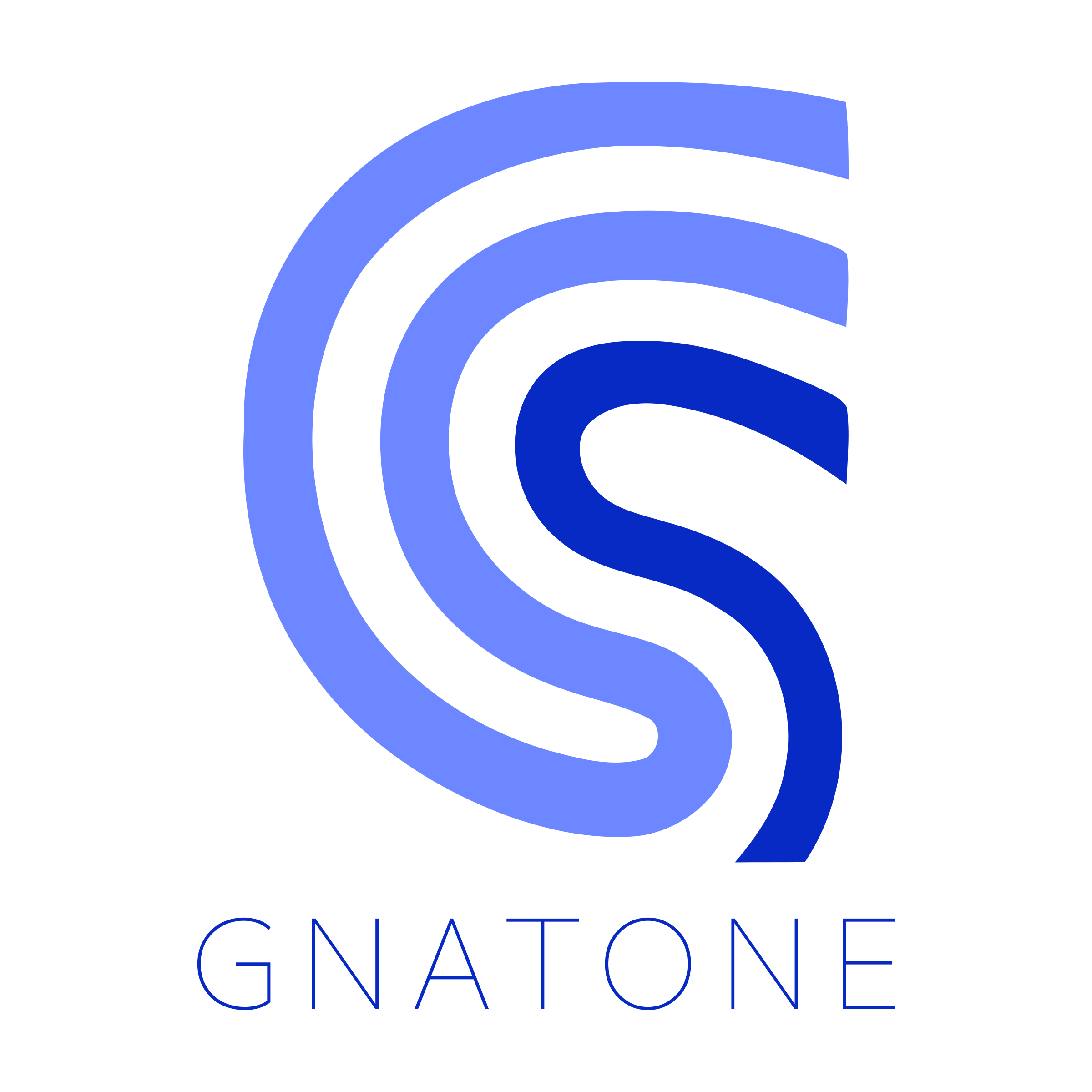 Логотип компании «GnatOne»