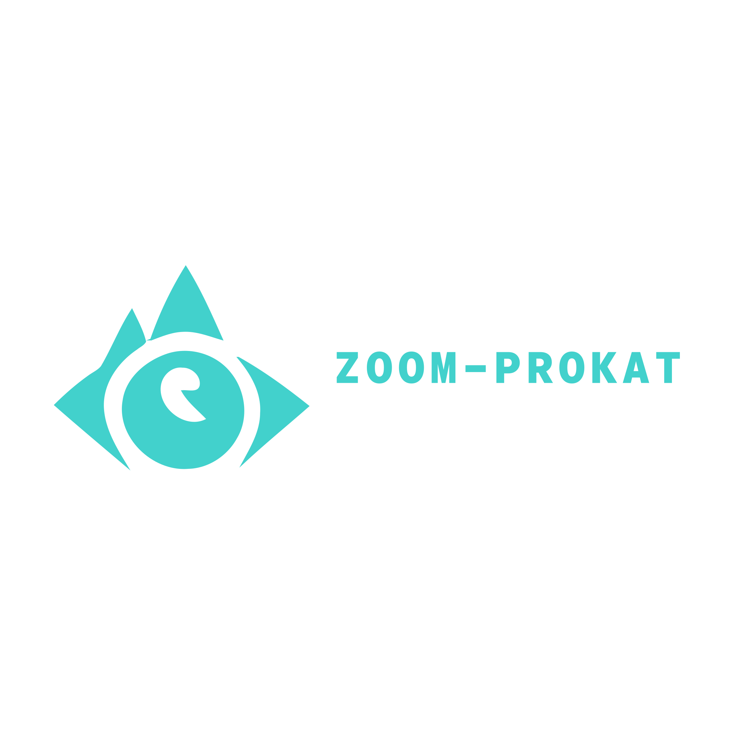 Логотип компании «ZOOM-PROKAT»