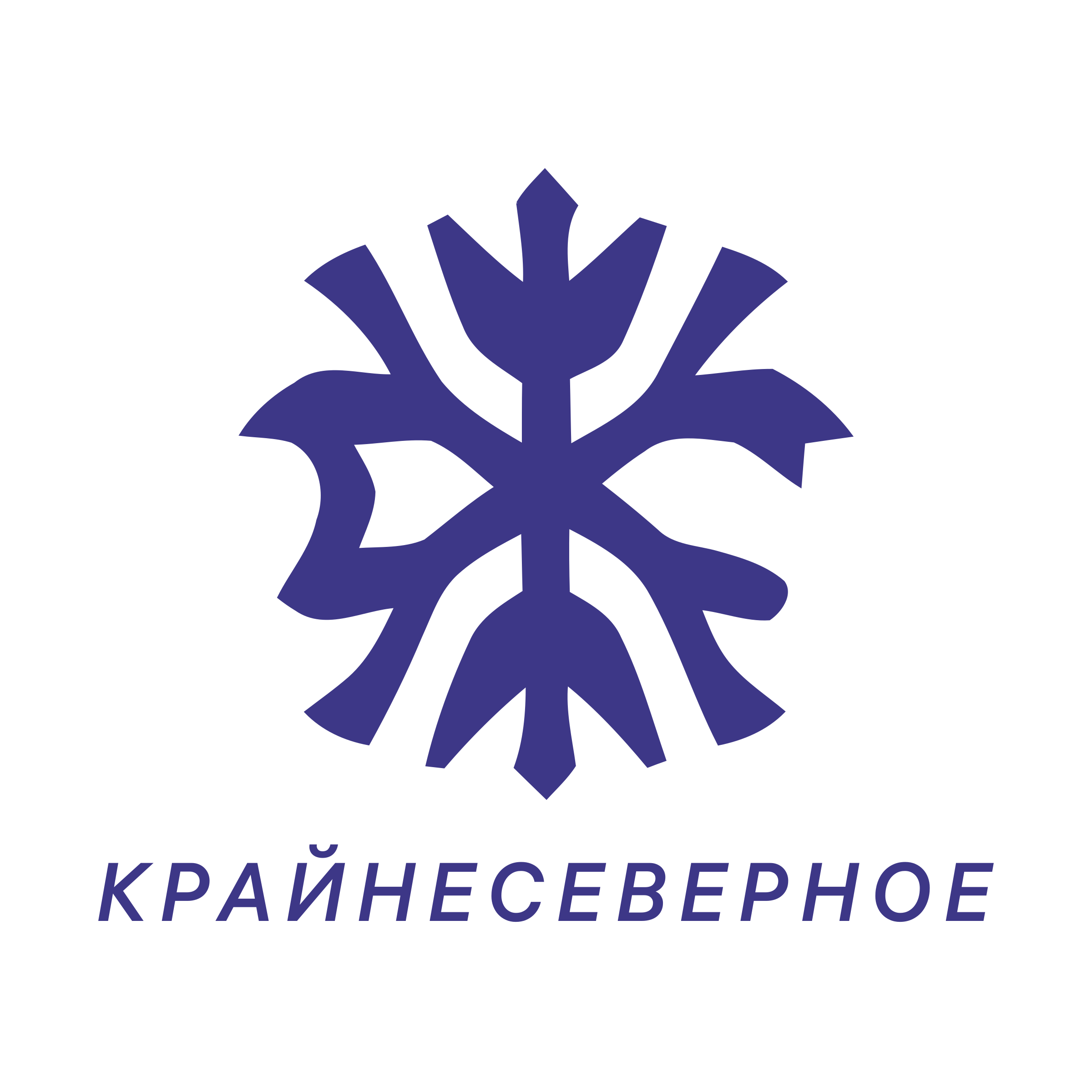 Логотип компании «Крайнесеверное»