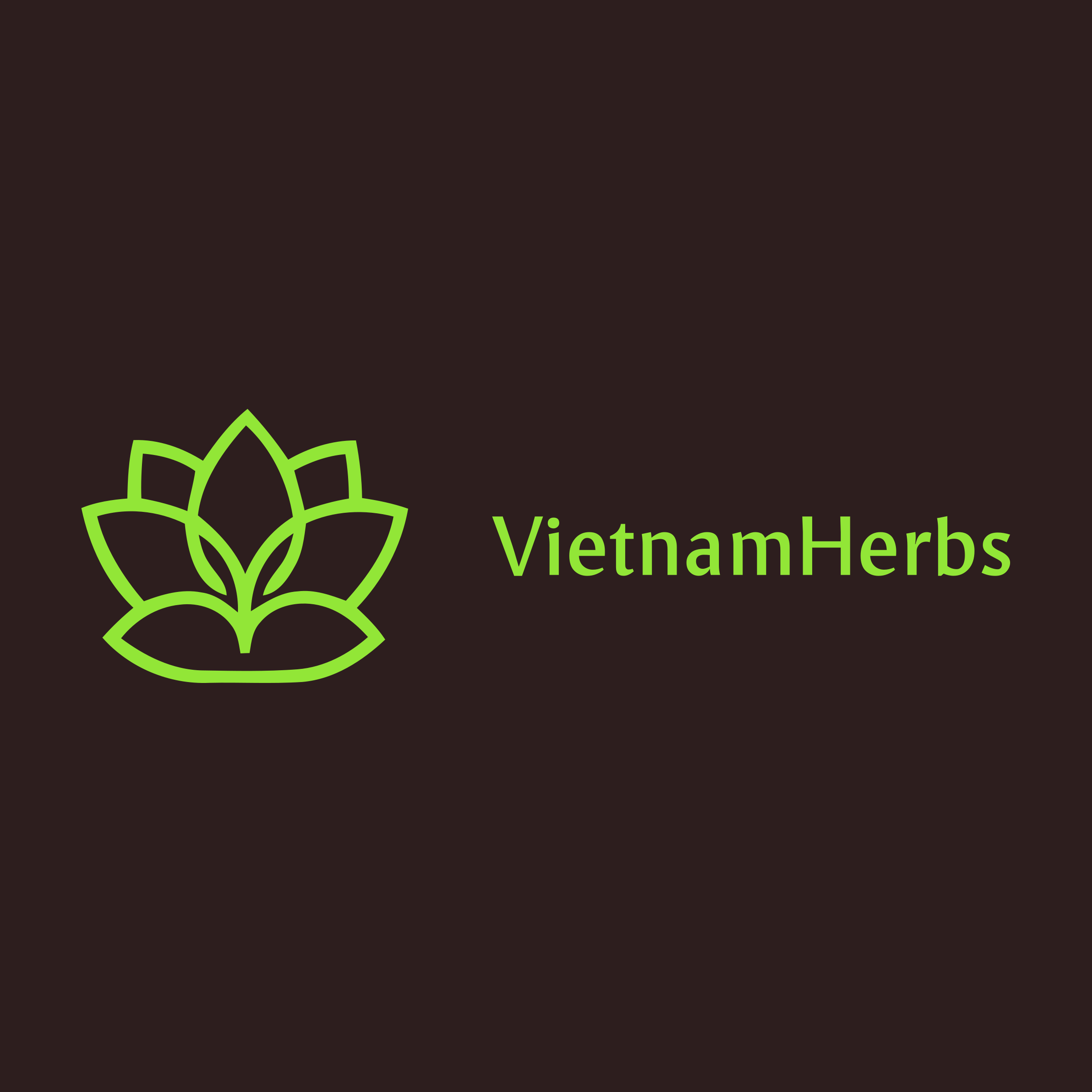 Company logo «VietnamHerbs»