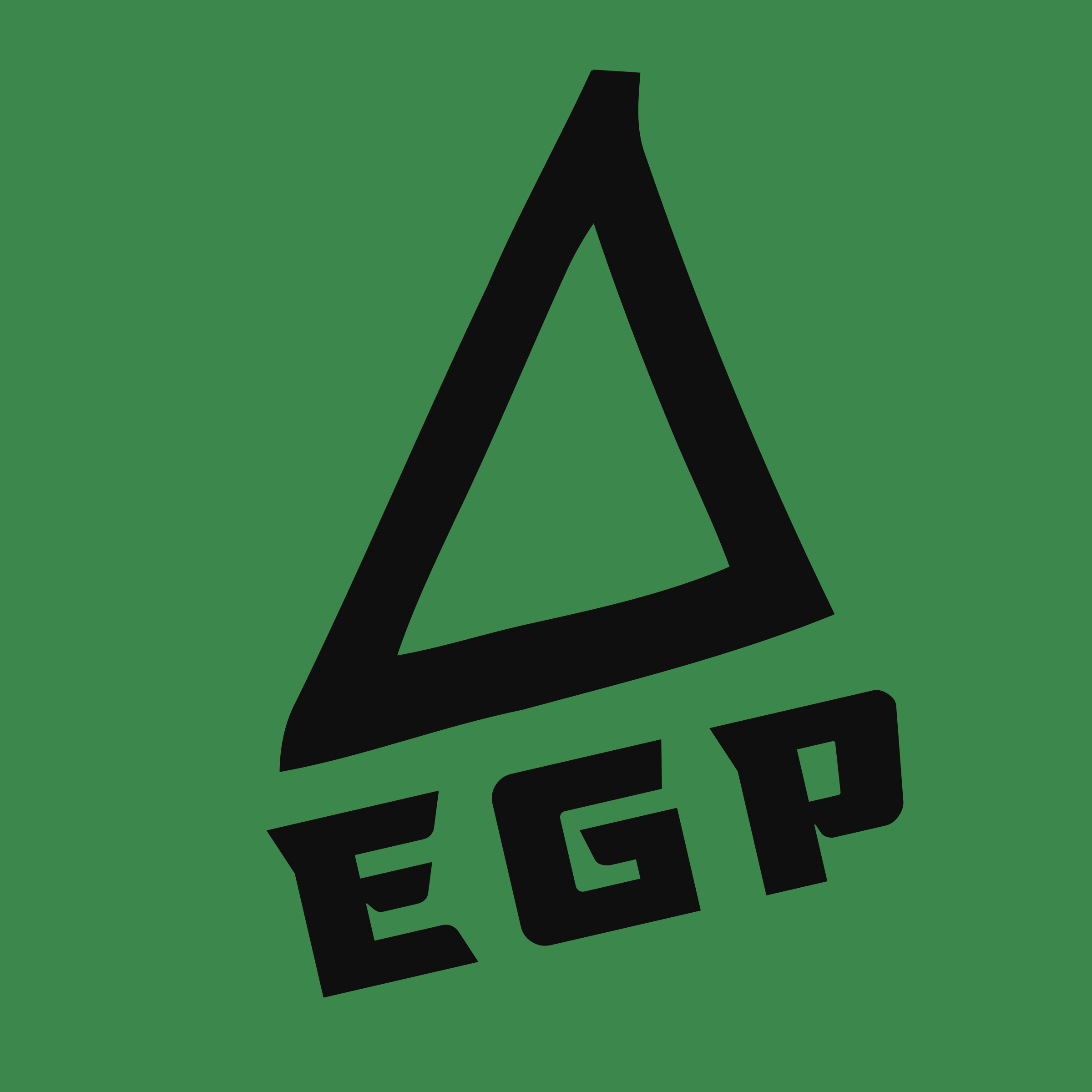 Логотип компании «EGP»