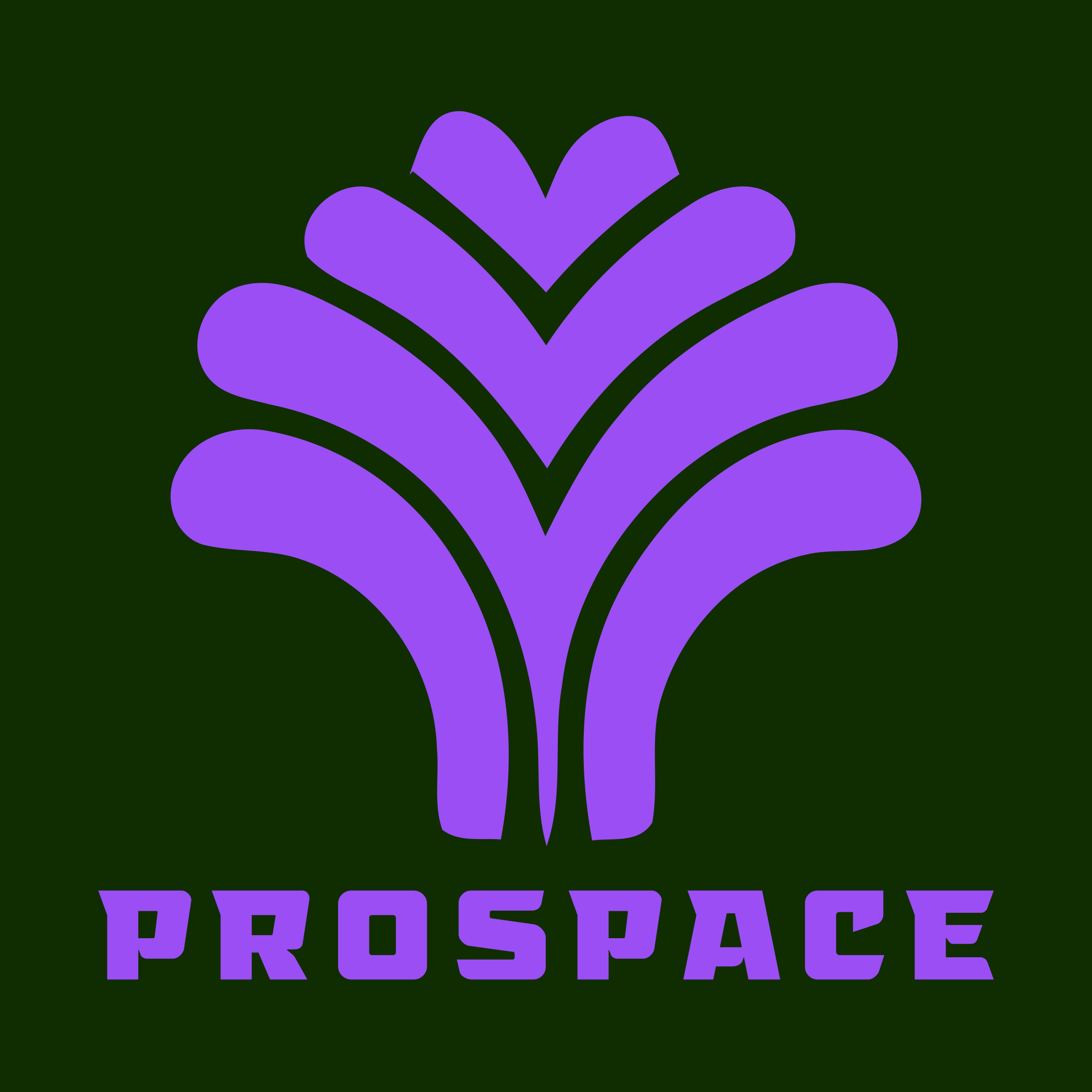 Логотип компании «ProSpace»