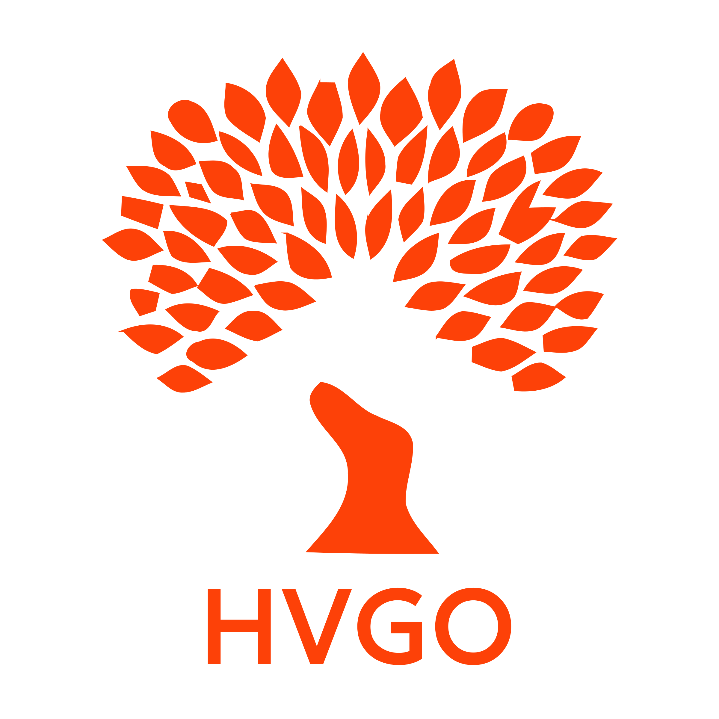 Логотип компании «HVGO»