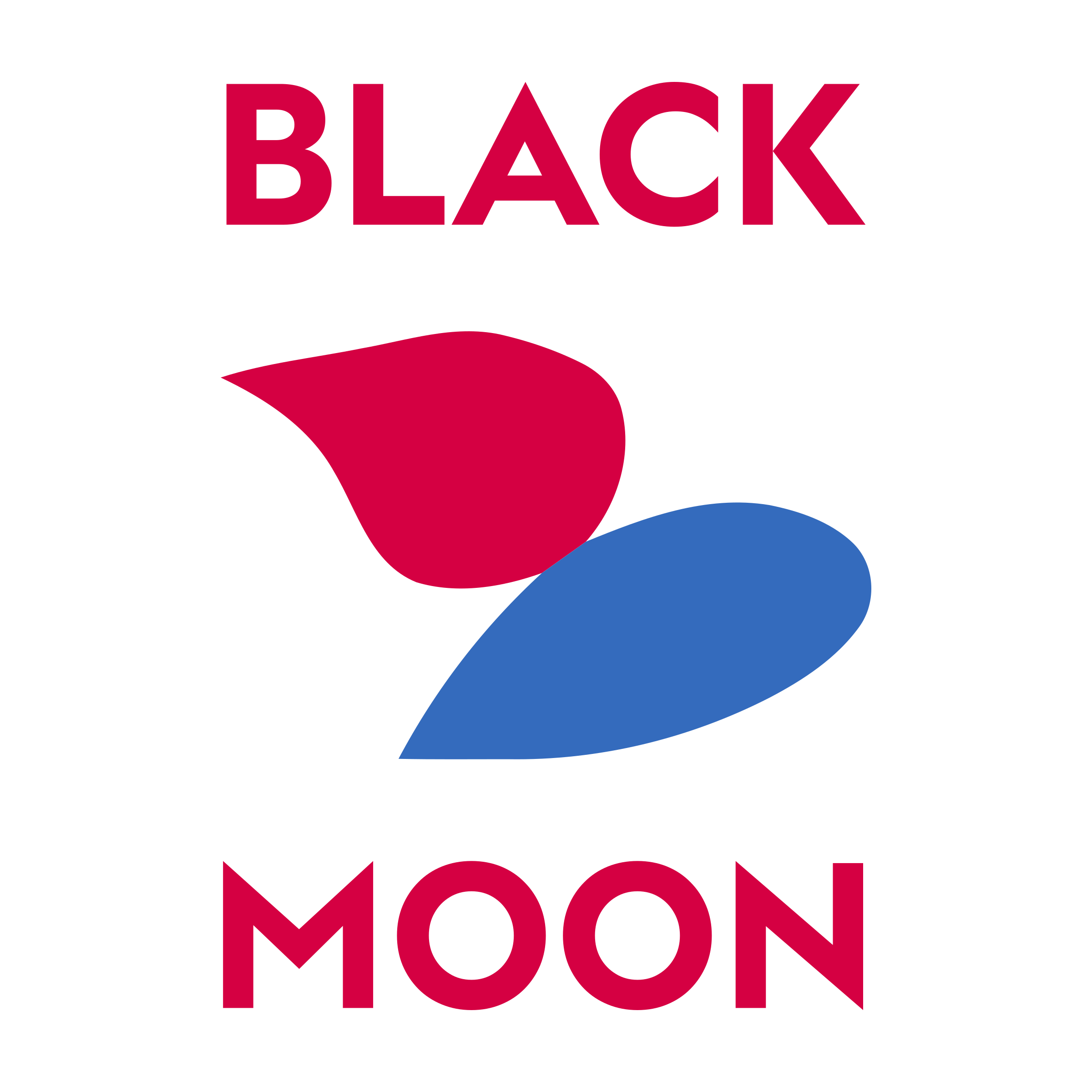 Логотип компании «BLACK MOON»