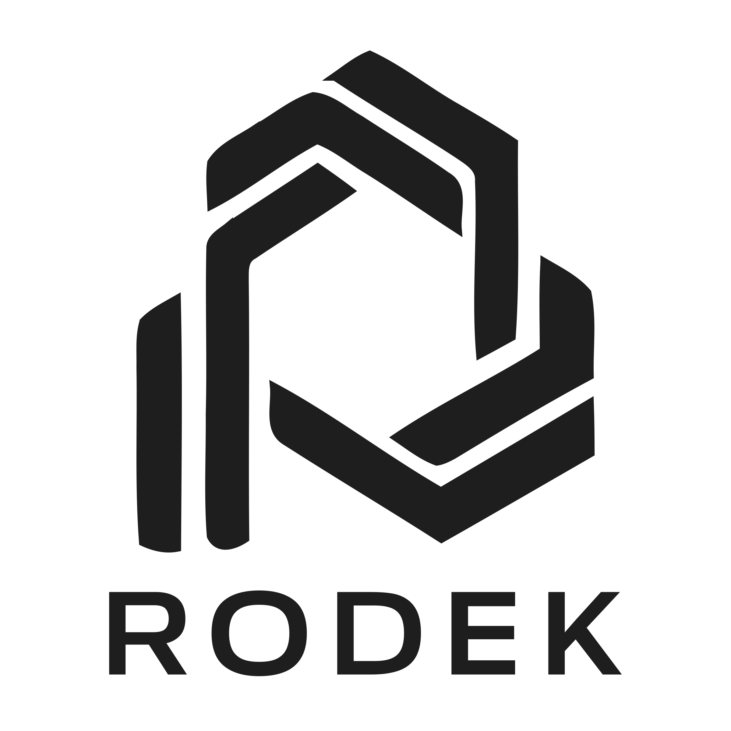 Логотип компании «rodek»